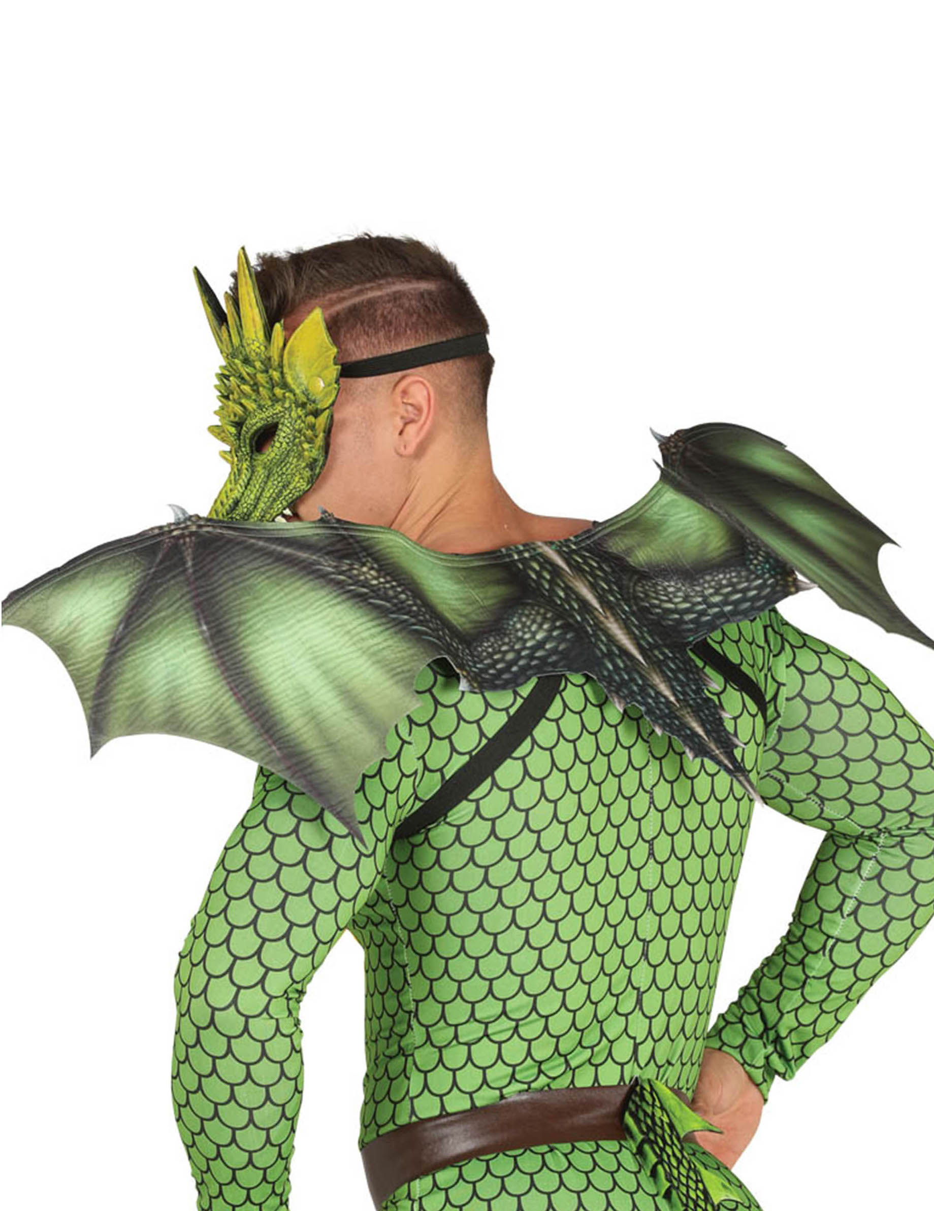 Ailes dragon 94 X 36 cm