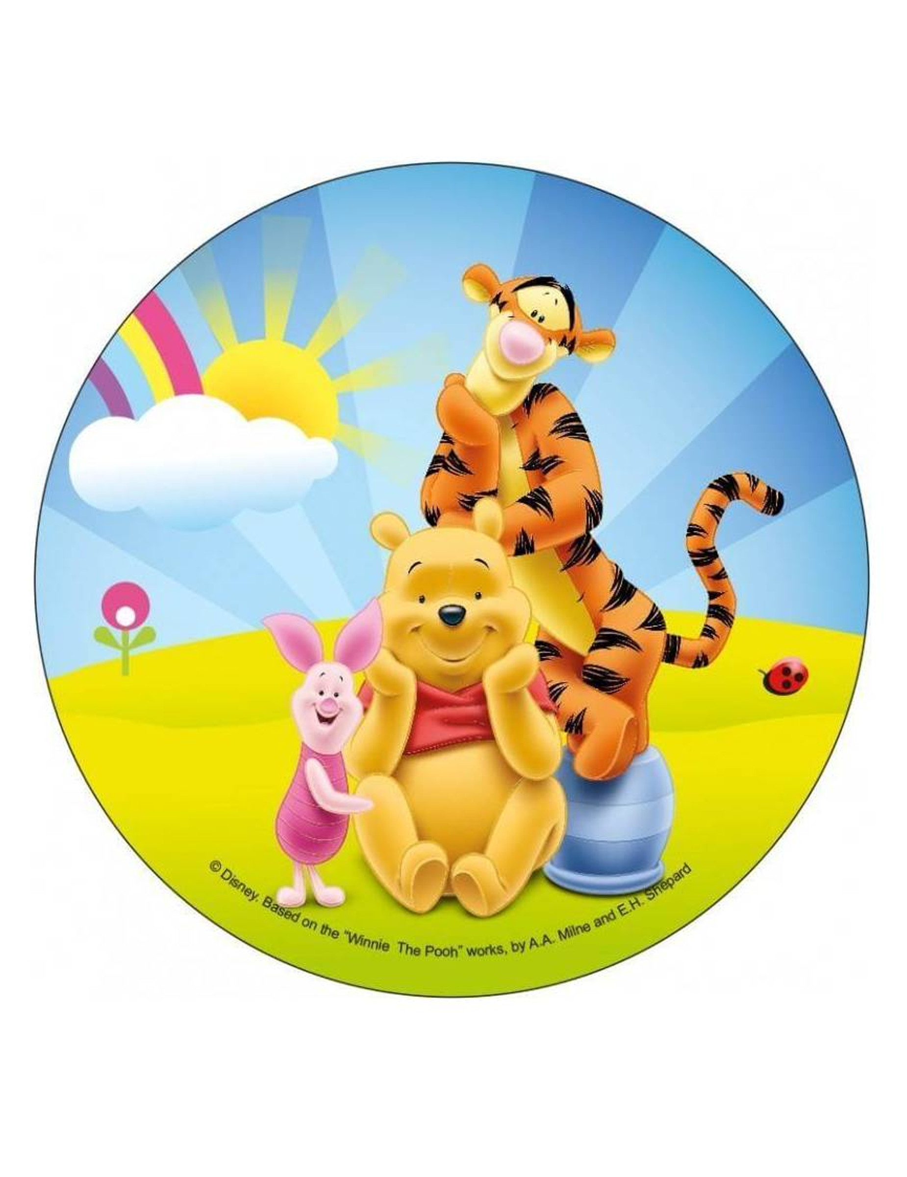Disque en azyme Winnie l'Ourson  Winnie et ses amis 21 cm