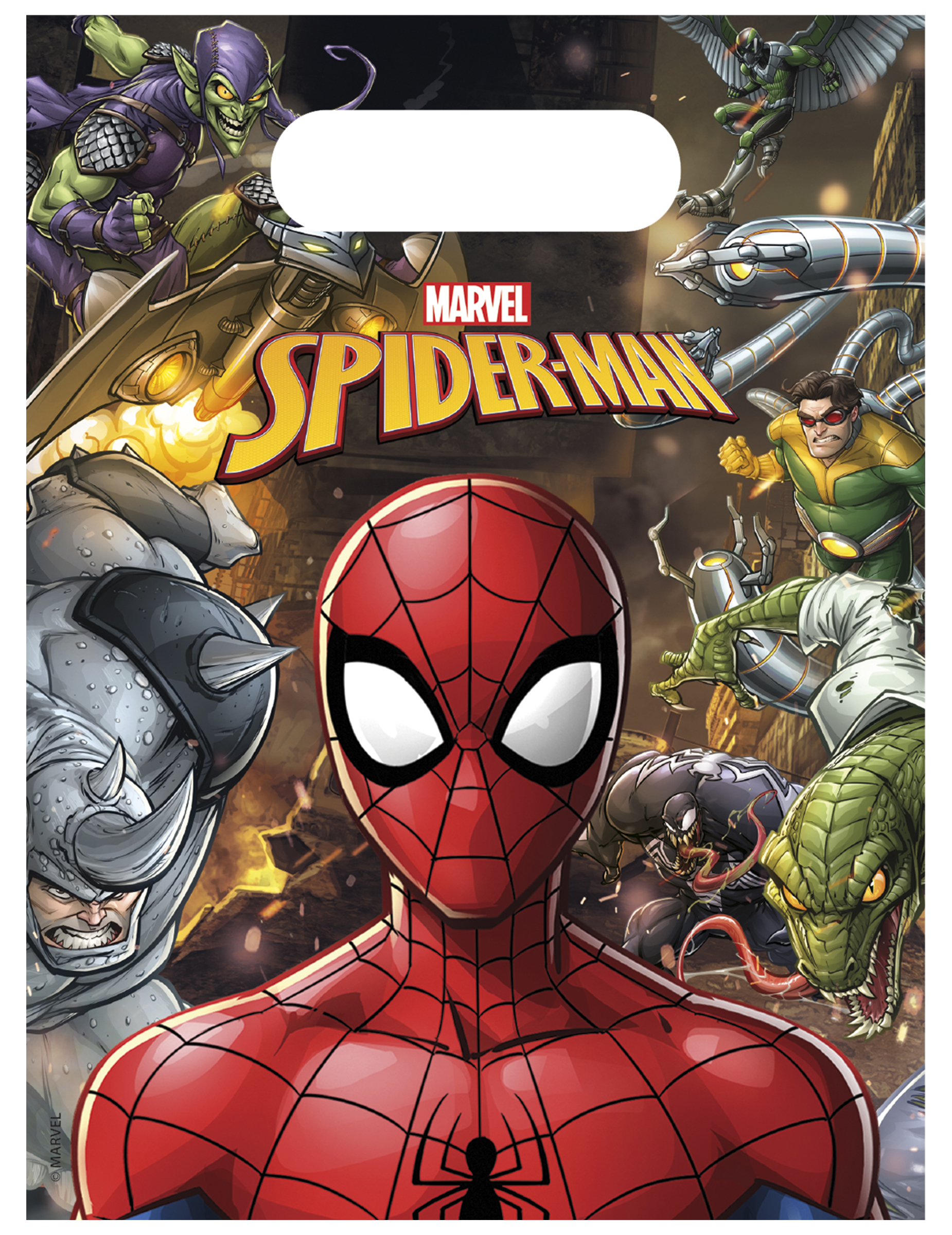 6 Sacs à cadeaux Spiderman 18 x 13 cm