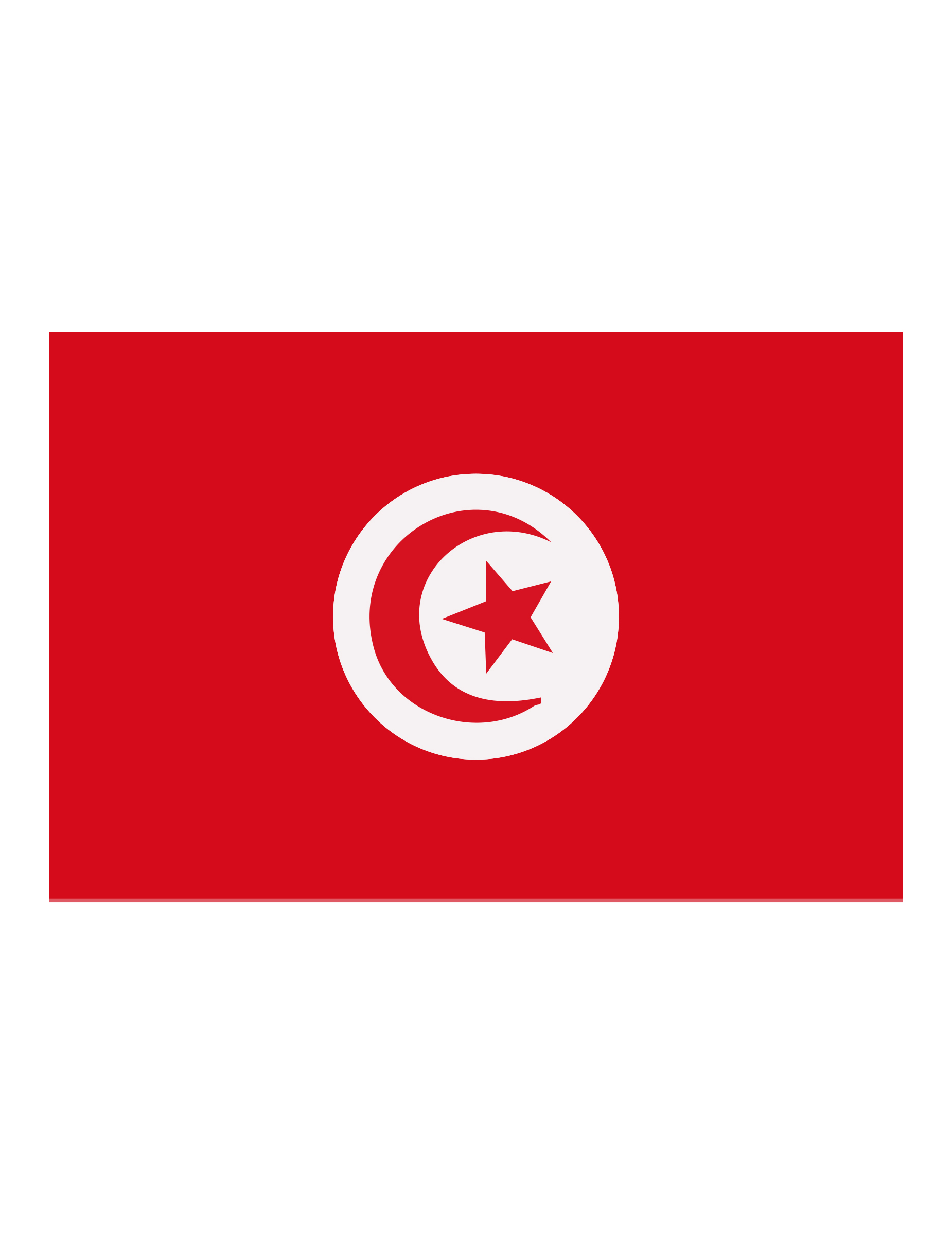 Drapeau supporter Tunisie 90 X 150 cm