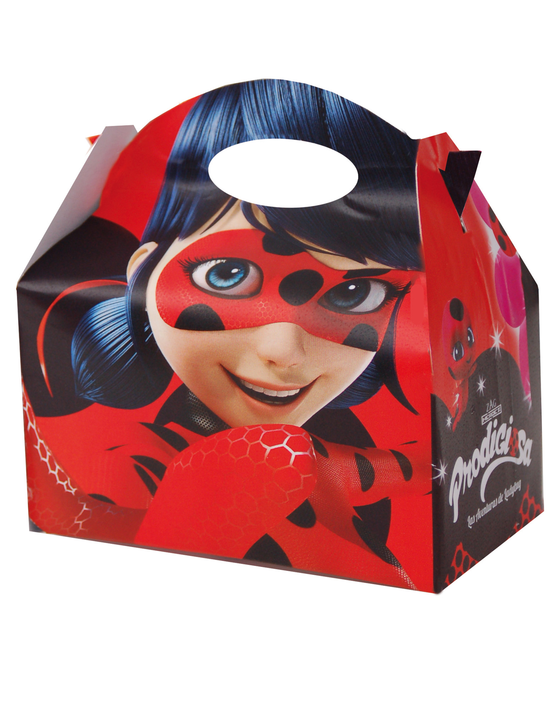 12 Boîtes en carton Ladybug 10,5 x 16 cm
