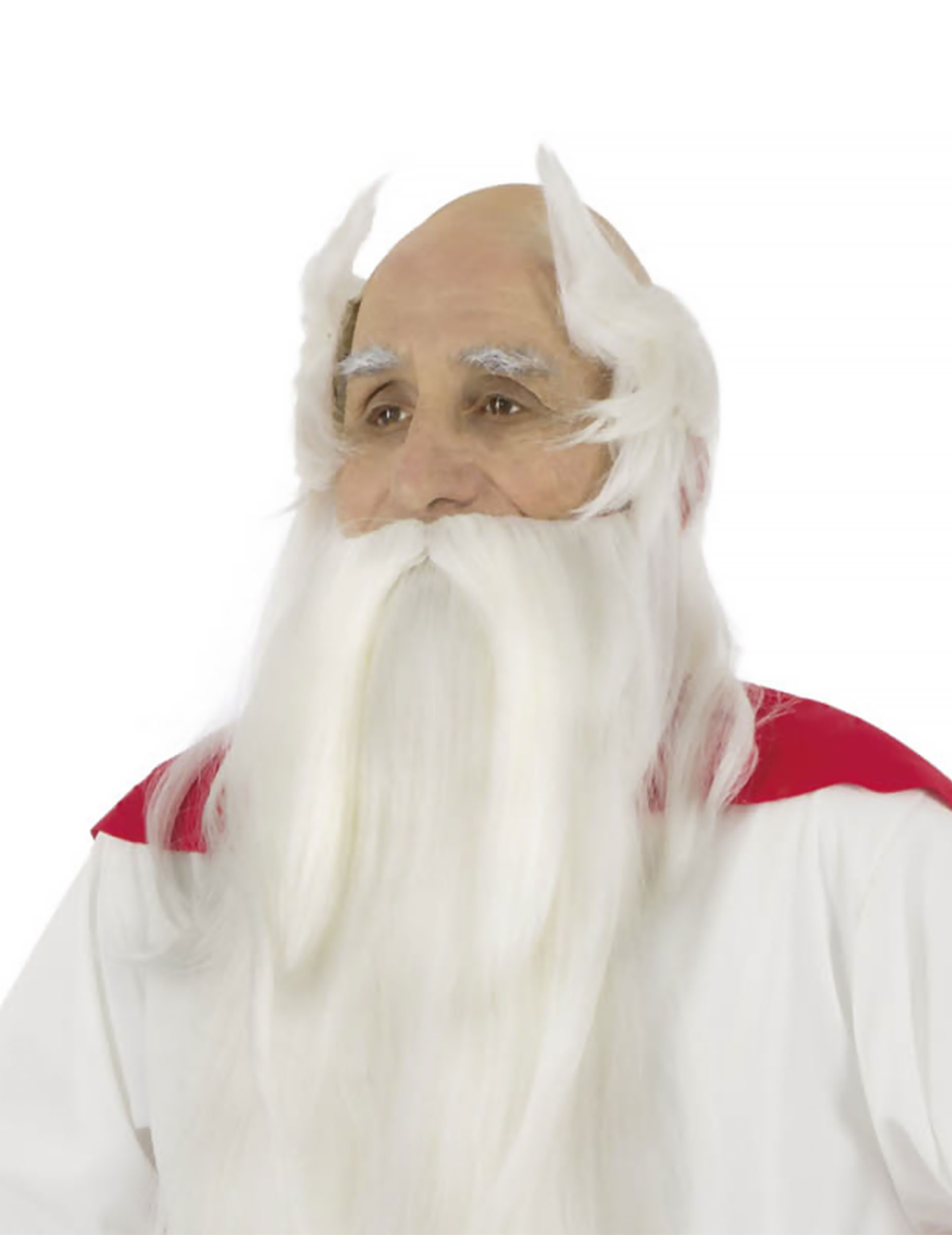Perruque et barbe druide Panoramix - Astérix et Obélix