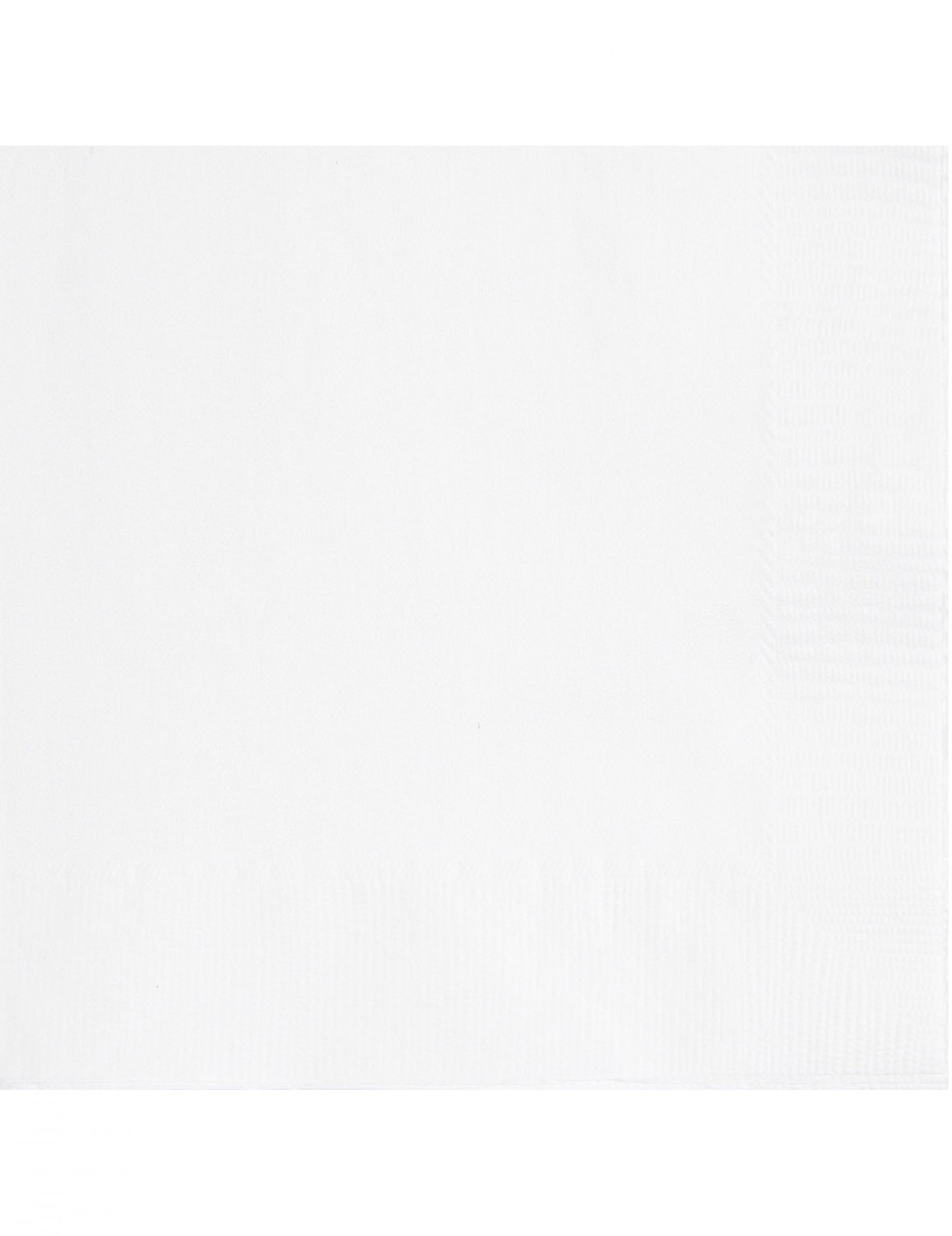 20 Petites serviettes en papier blanches 25 x 25 cm