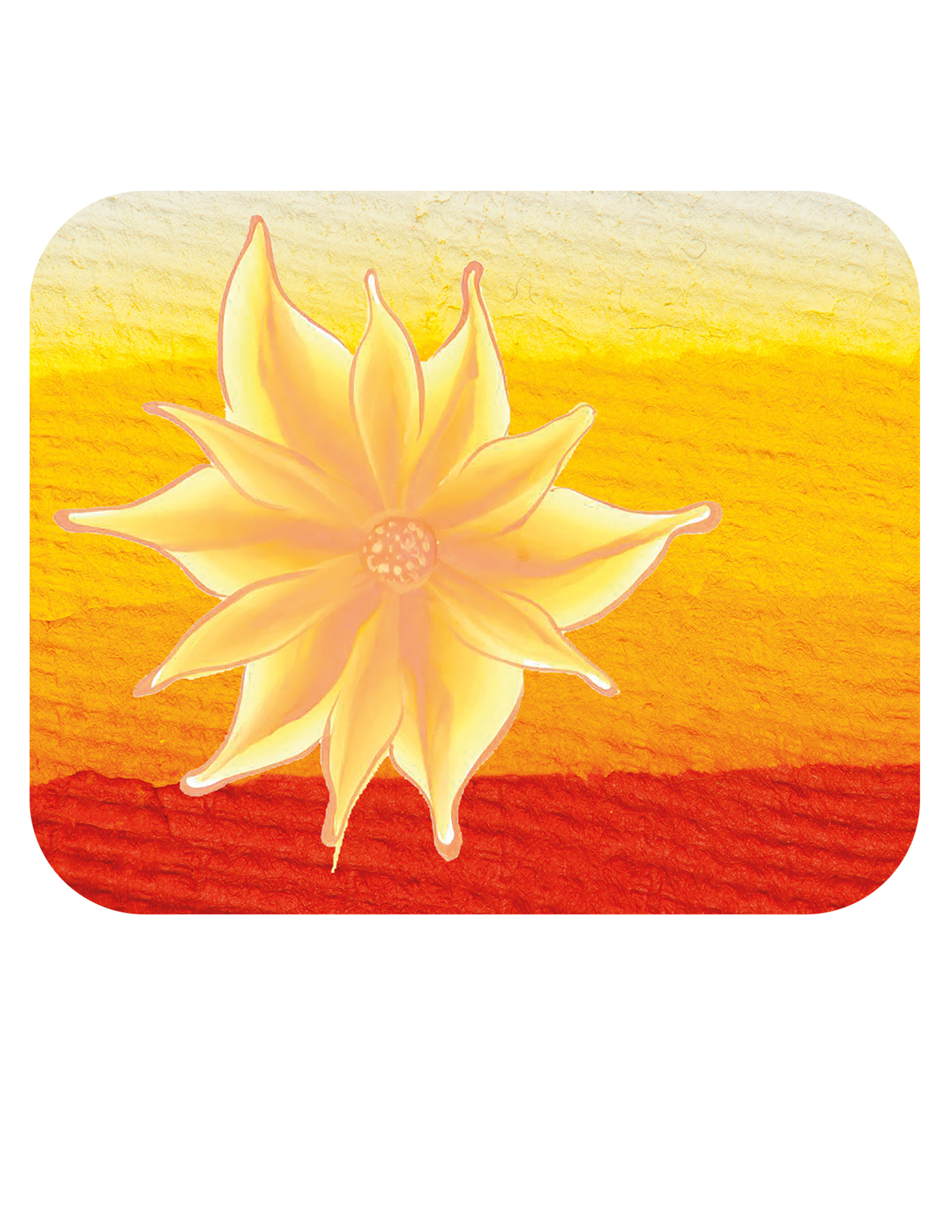 Maquillage Split cake fleur du soleil 9 g