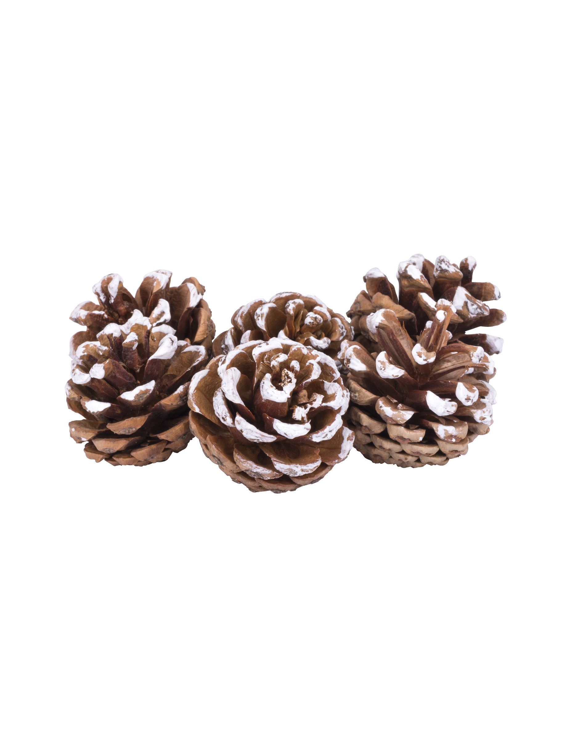 6 Pommes de pin enneigées 4 cm