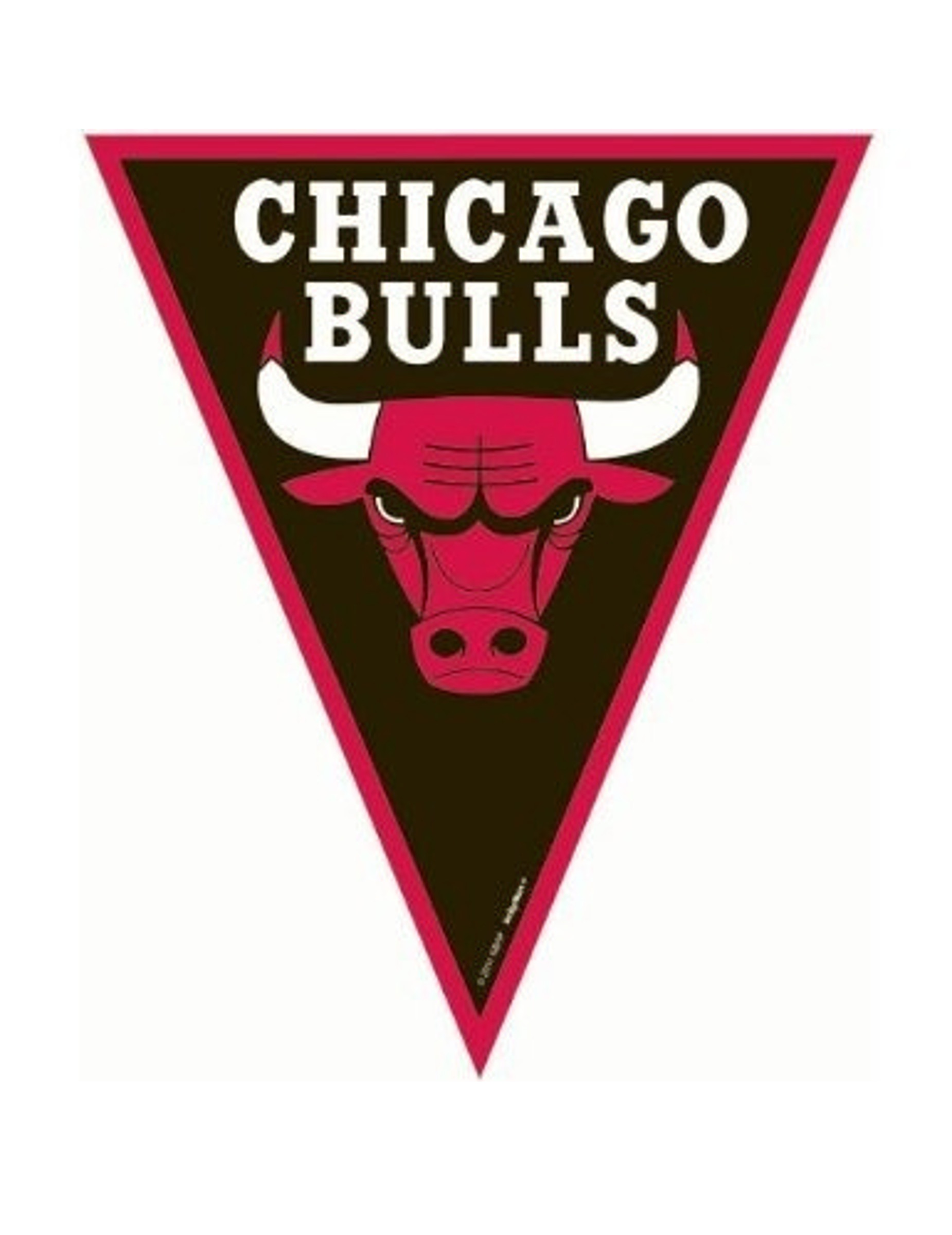 Guirlande fanions Chicago Bulls 360 cm