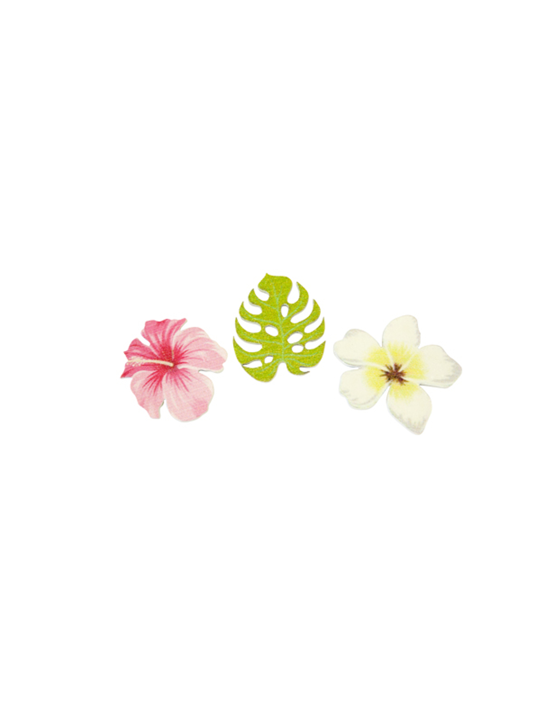 9 Confettis en bois fleurs et feuilles tropicales 3,8 cm