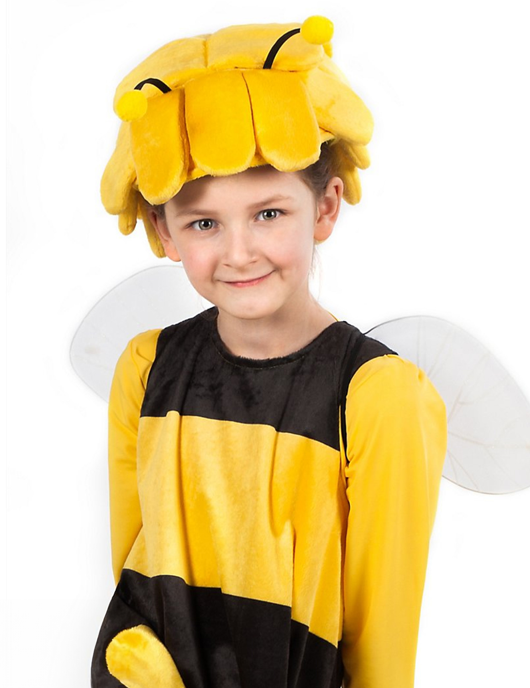 Ailes Maya l'Abeille enfant