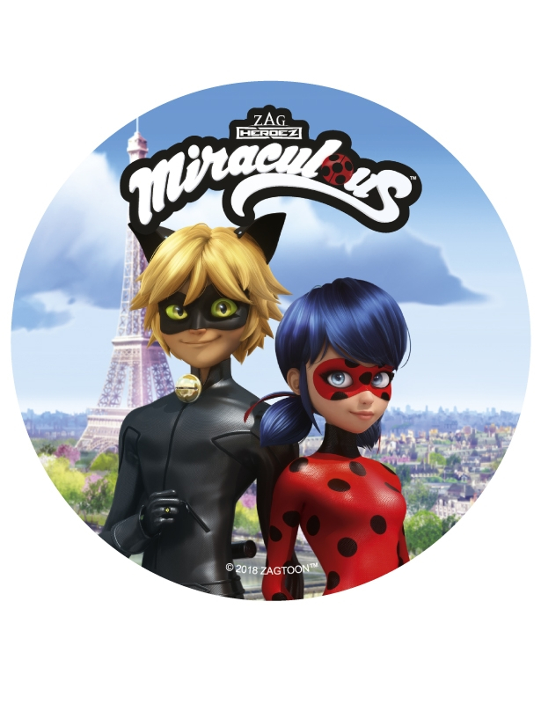 Disque en azyme Ladybug 15 cm aléatoire