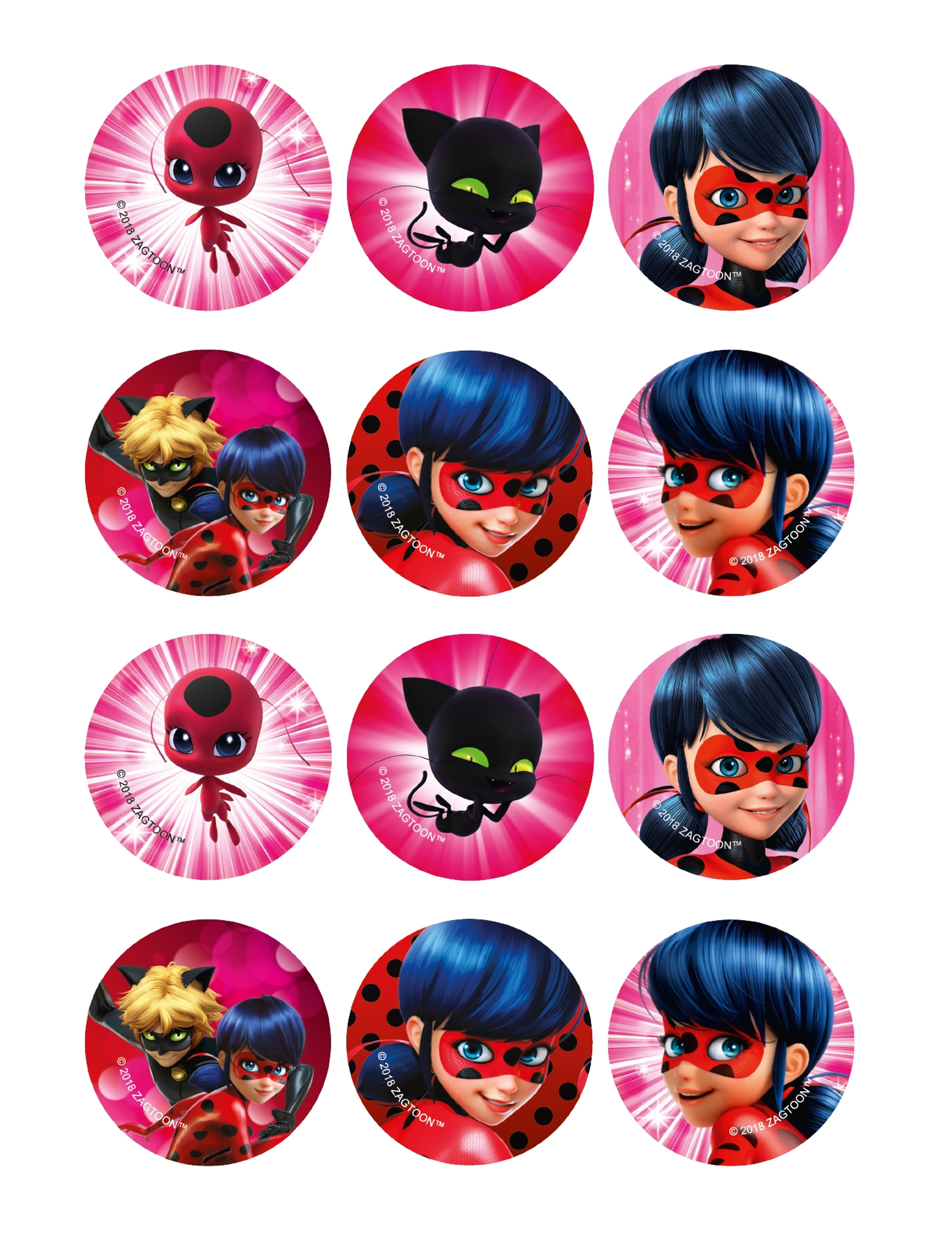 12 Décorations en sucre pour biscuits Ladybug 6 cm