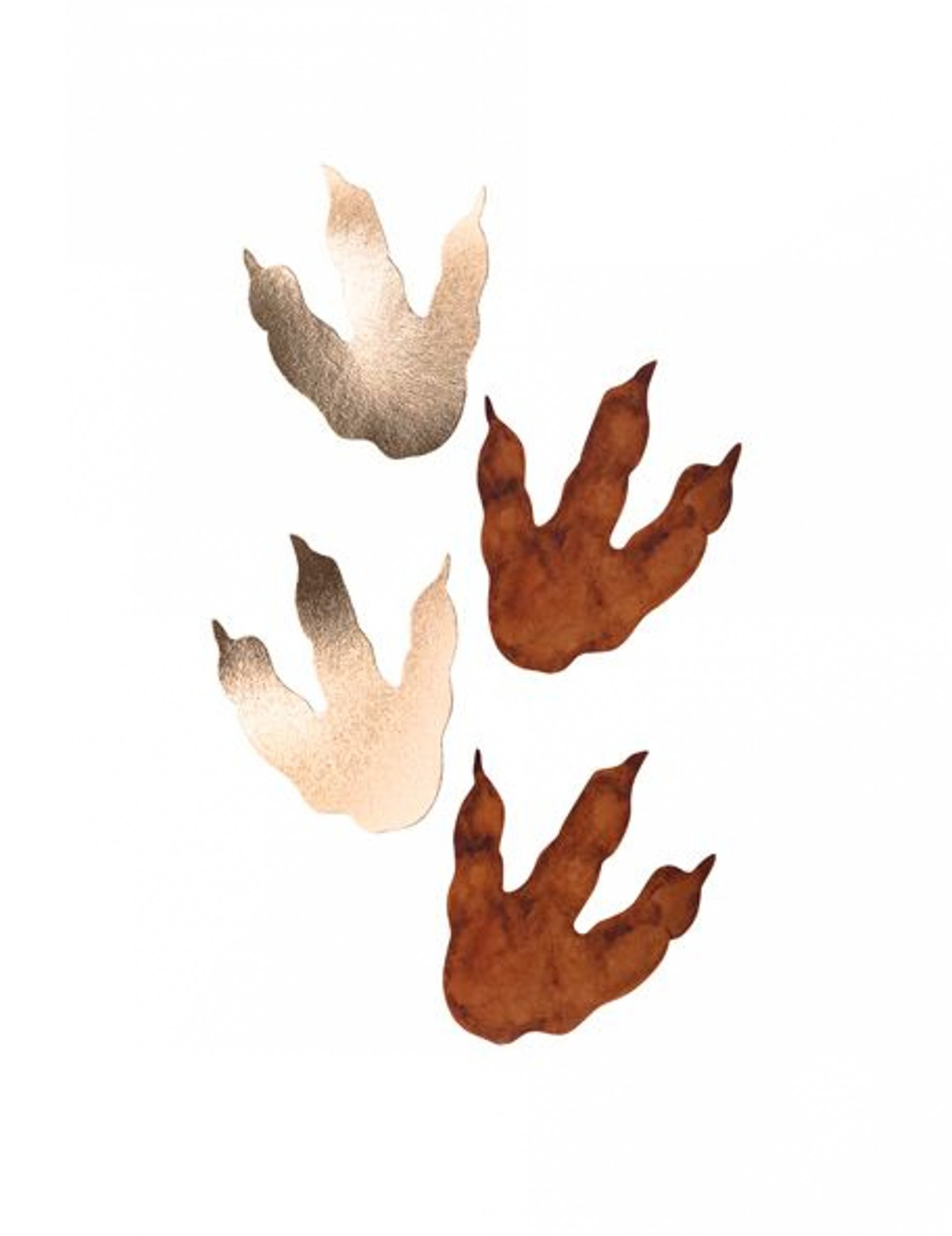 6 Empreintes de dinosaure marron et doré 15,5 x 13,5 cm