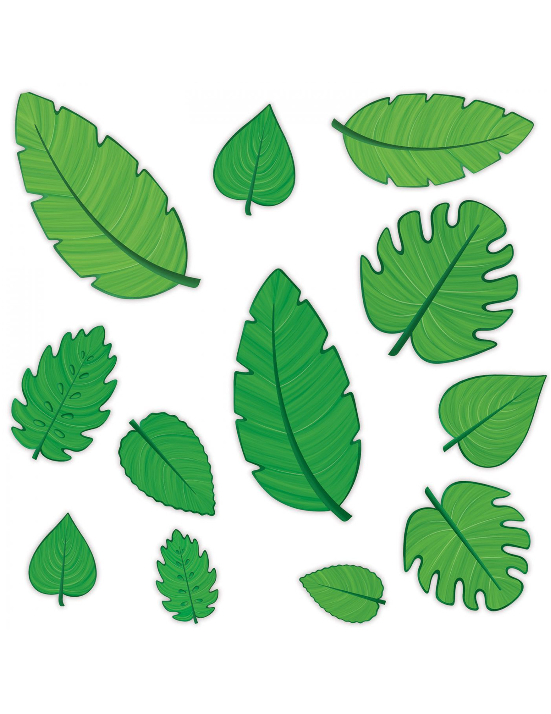 12 Cutouts en carton feuilles vertes 10 - 30 cm