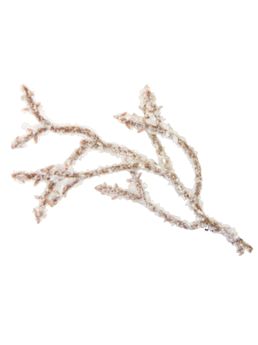 6 Branches enneigées naturelles 9 x 5 cm