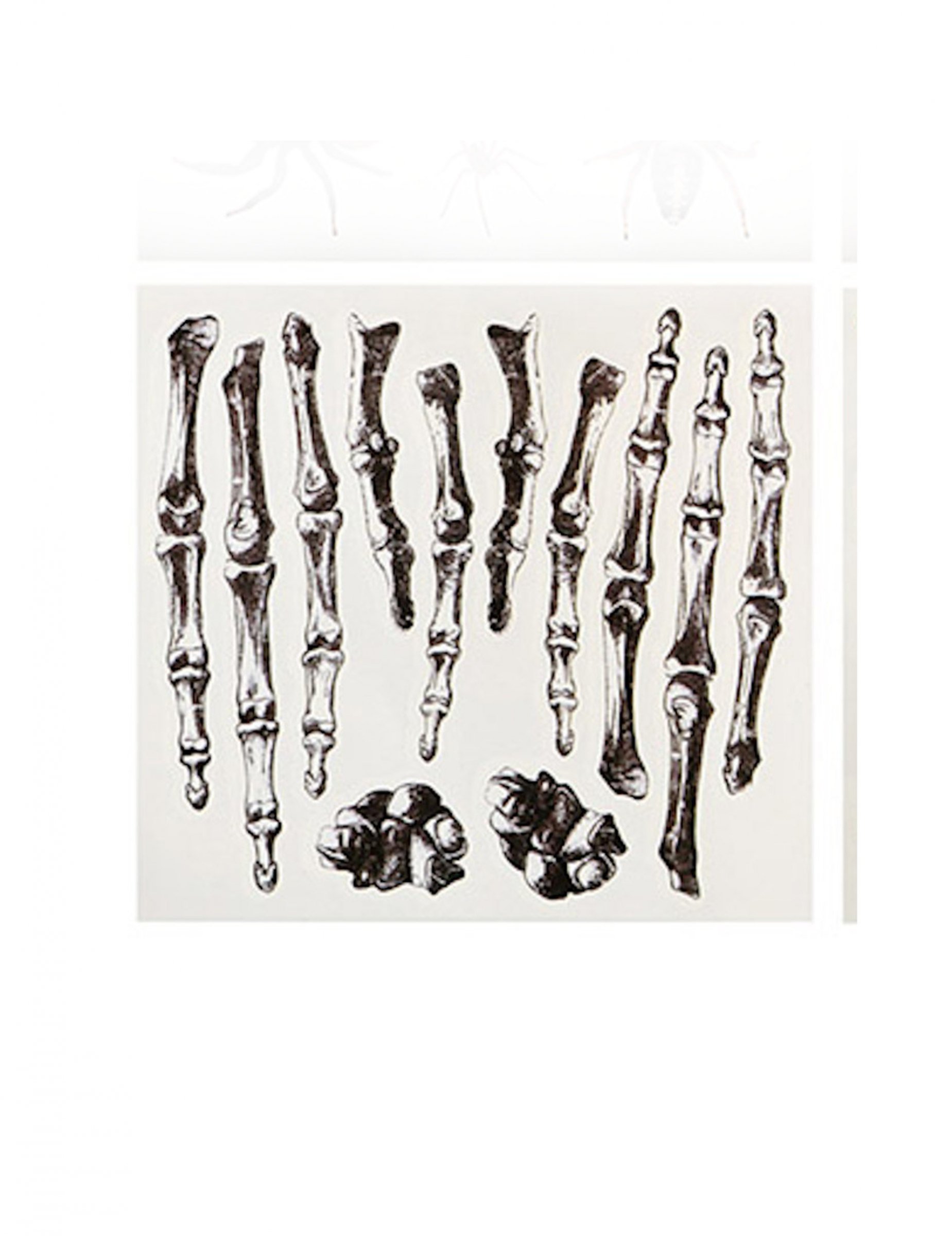 Faux tatouages squelettes