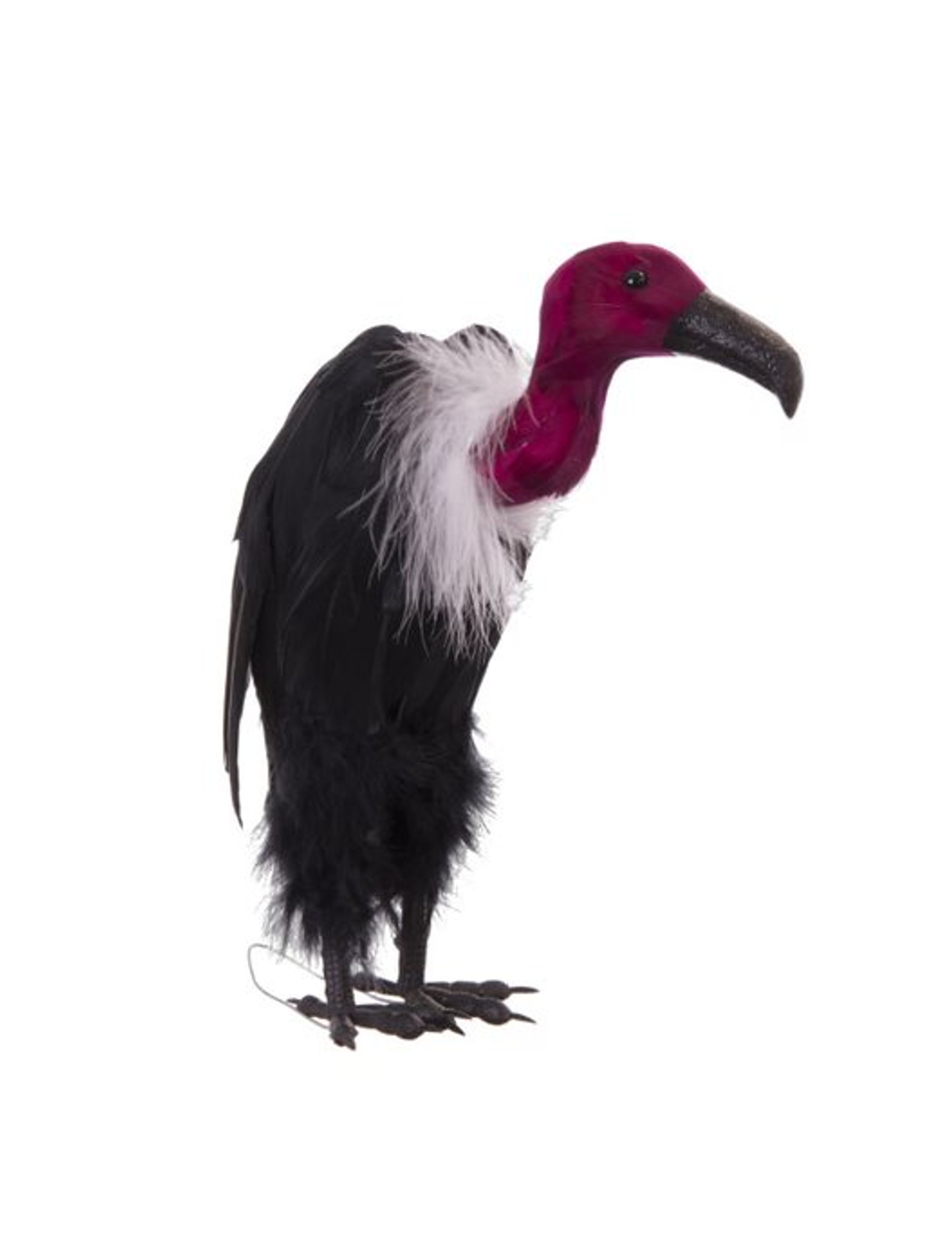 Vautour 11 x 18 x 34 cm