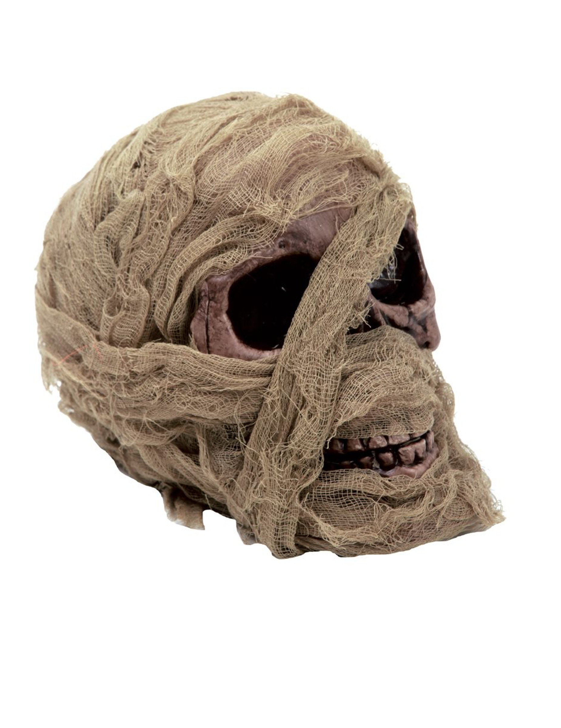 Tête de mort momifiée 20 x 16 cm
