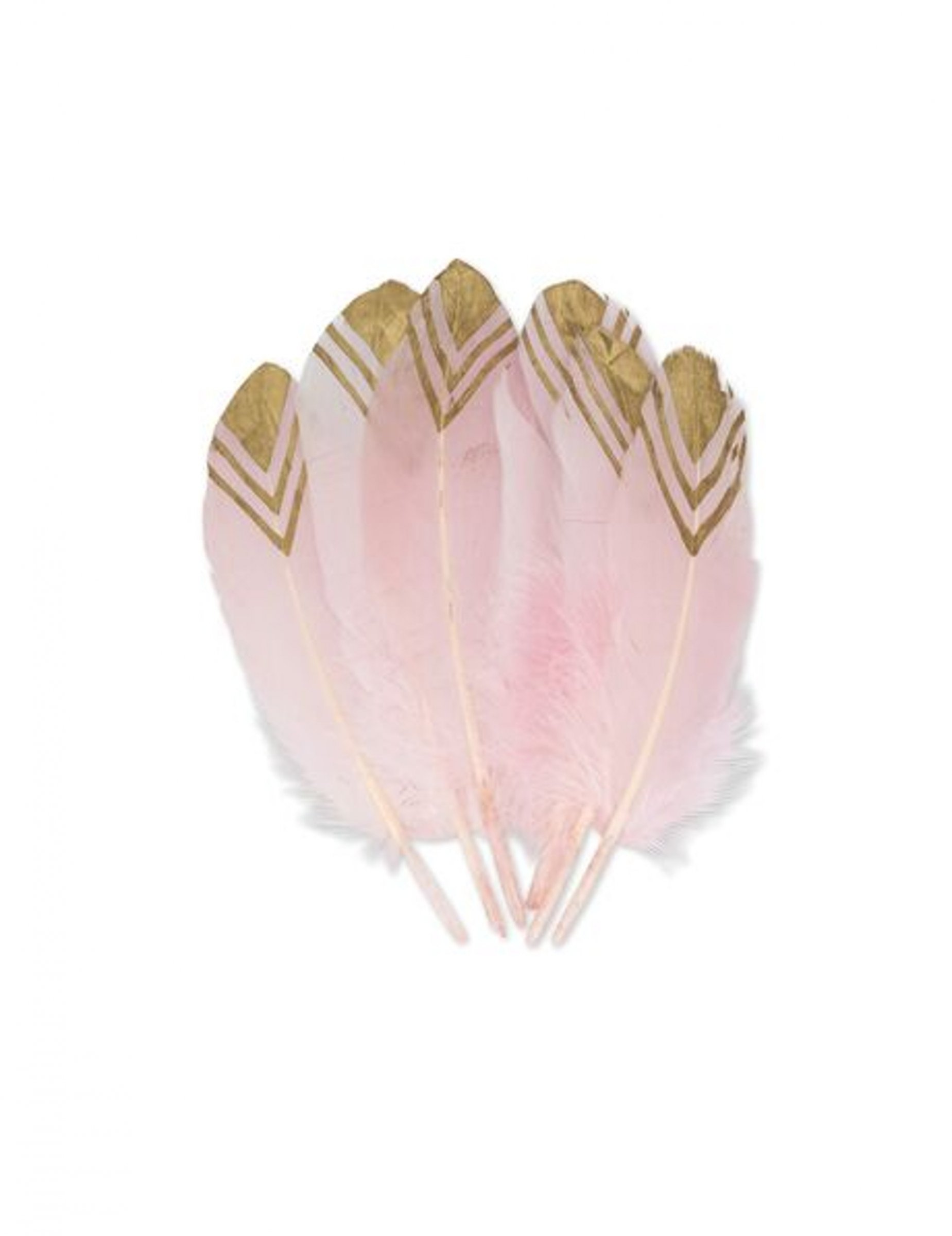 6 Plumes ethnique roses et or 18-20 cm