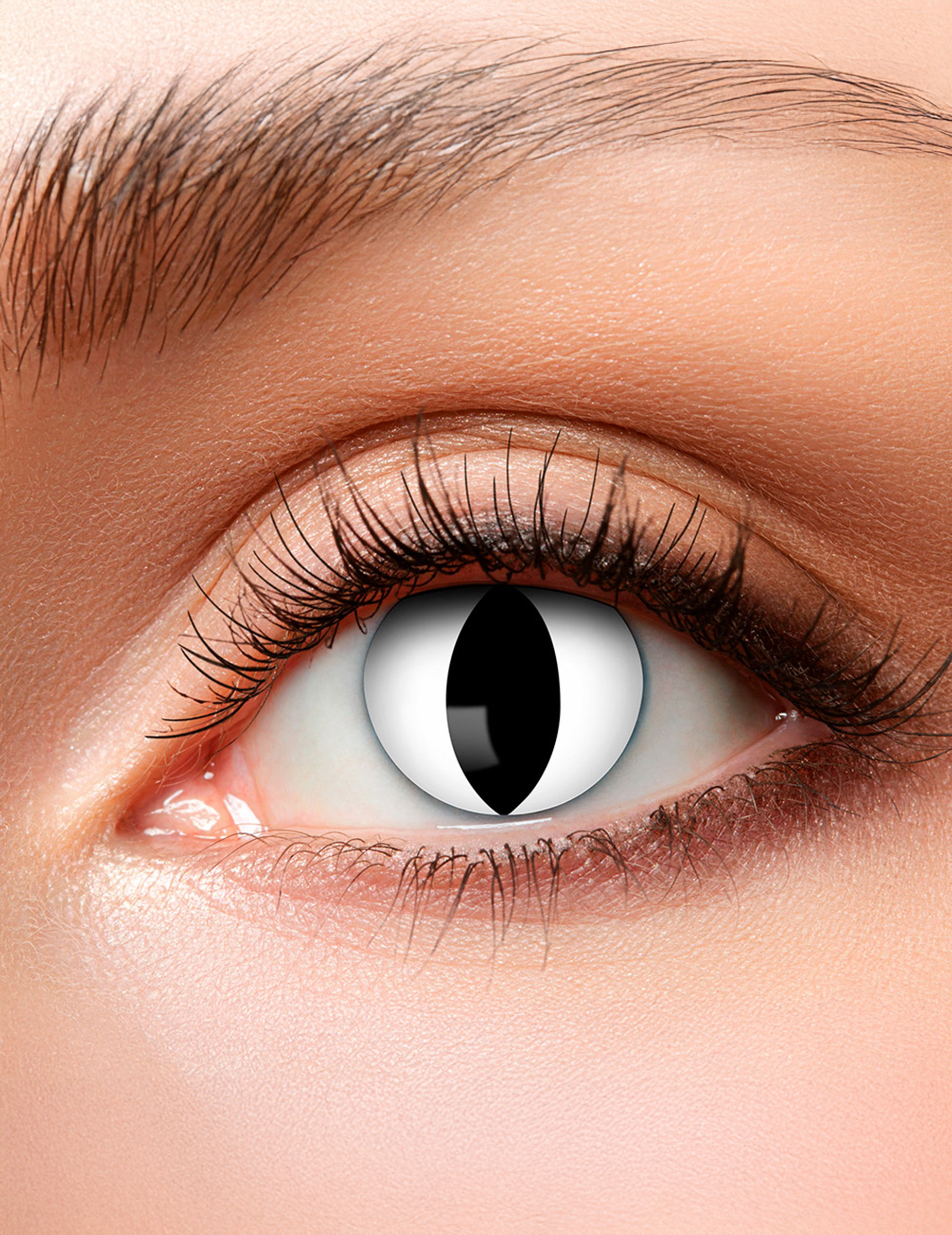 Lentilles fantaisie oeil chat 3 mois adulte