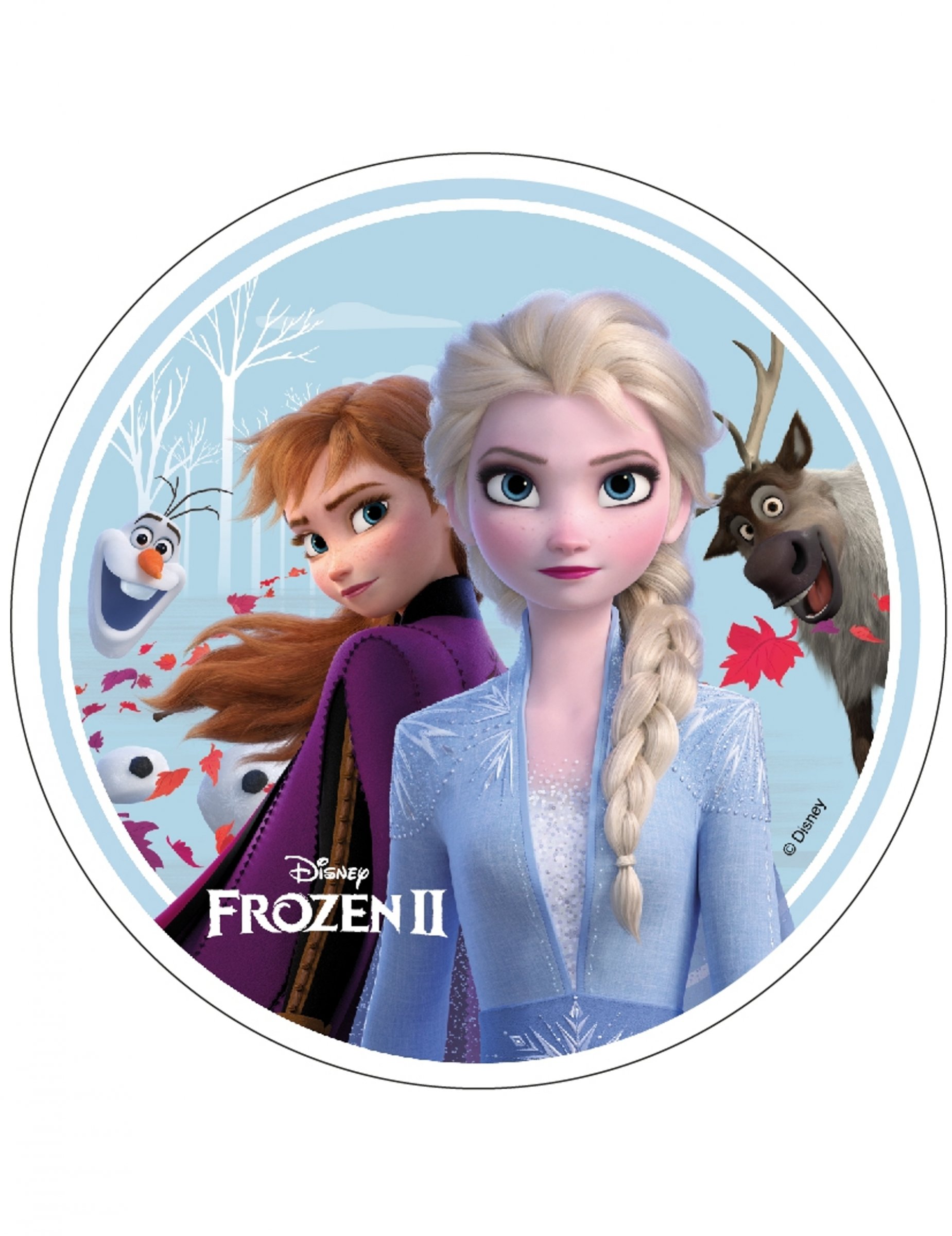 Disque en azyme La Reine des Neiges 2 Anna, Elsa, Olaf et Sven 21 cm