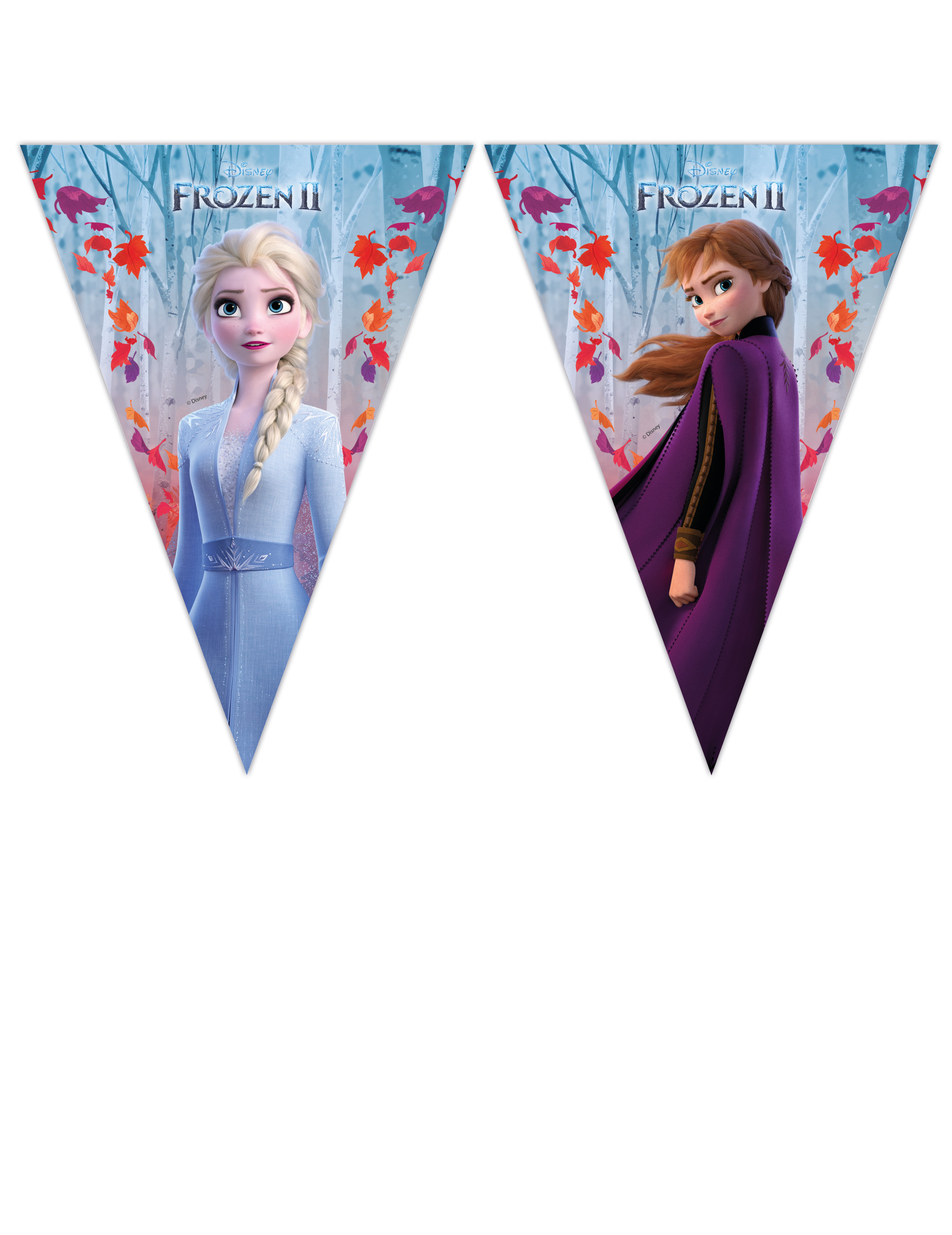 Guirlande fanion La Reine des Neiges 2 230 x 25 cm