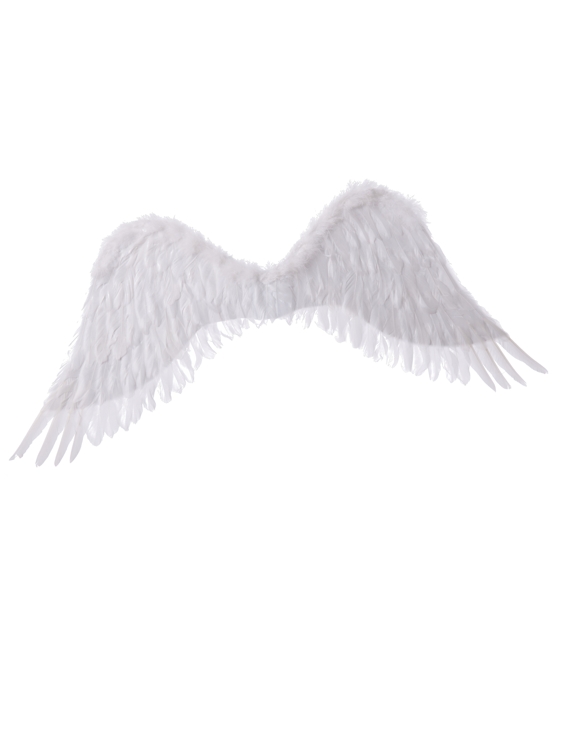 Ailes d'ange blanches 94 x 29 cm