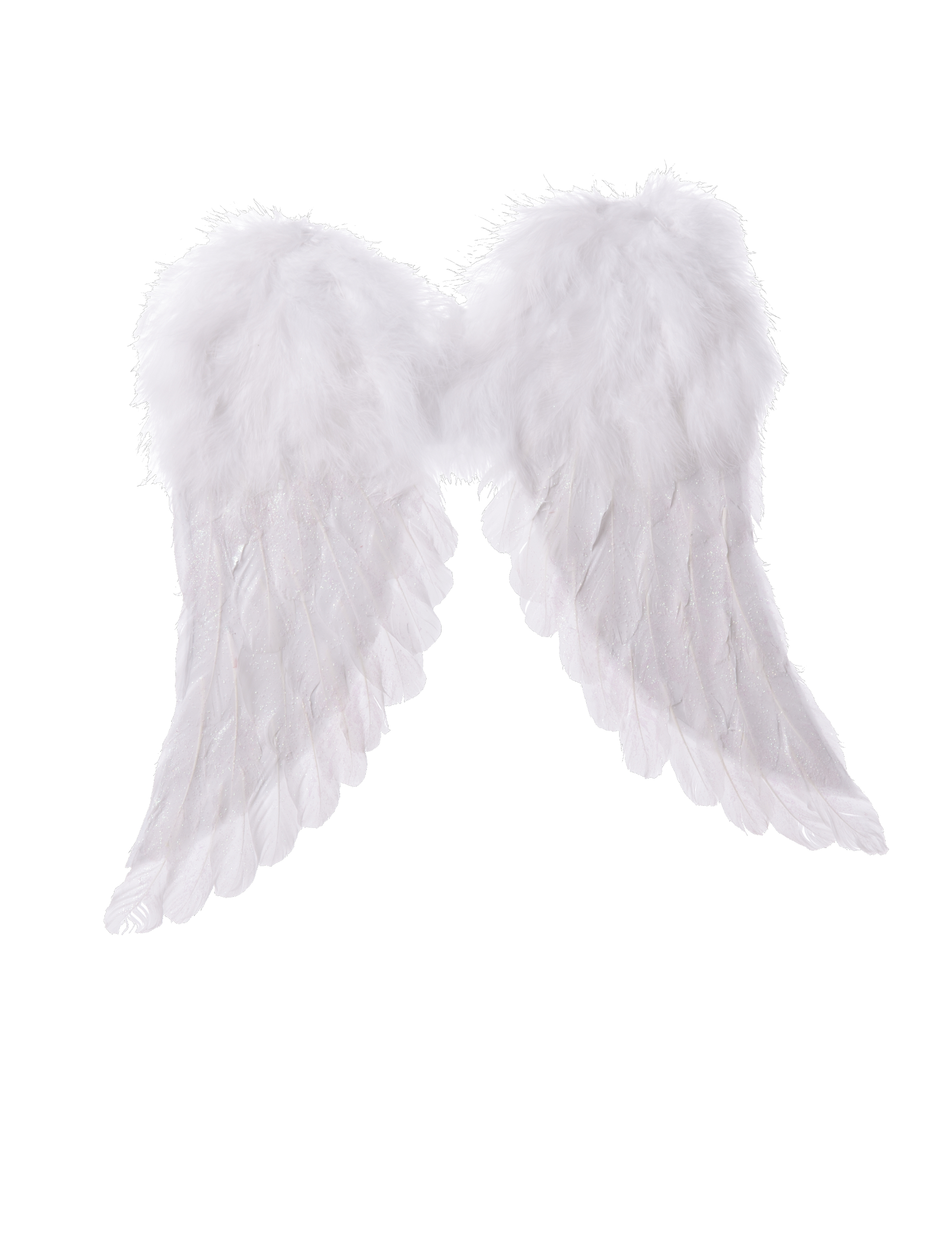 Ailes d'ange blanches 42 x 46 cm