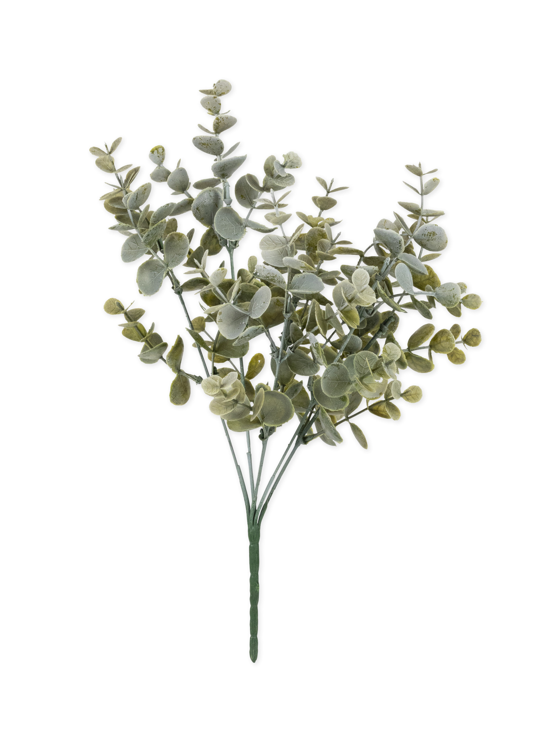 Bouquet feuilles eucalyptus vert 35 cm