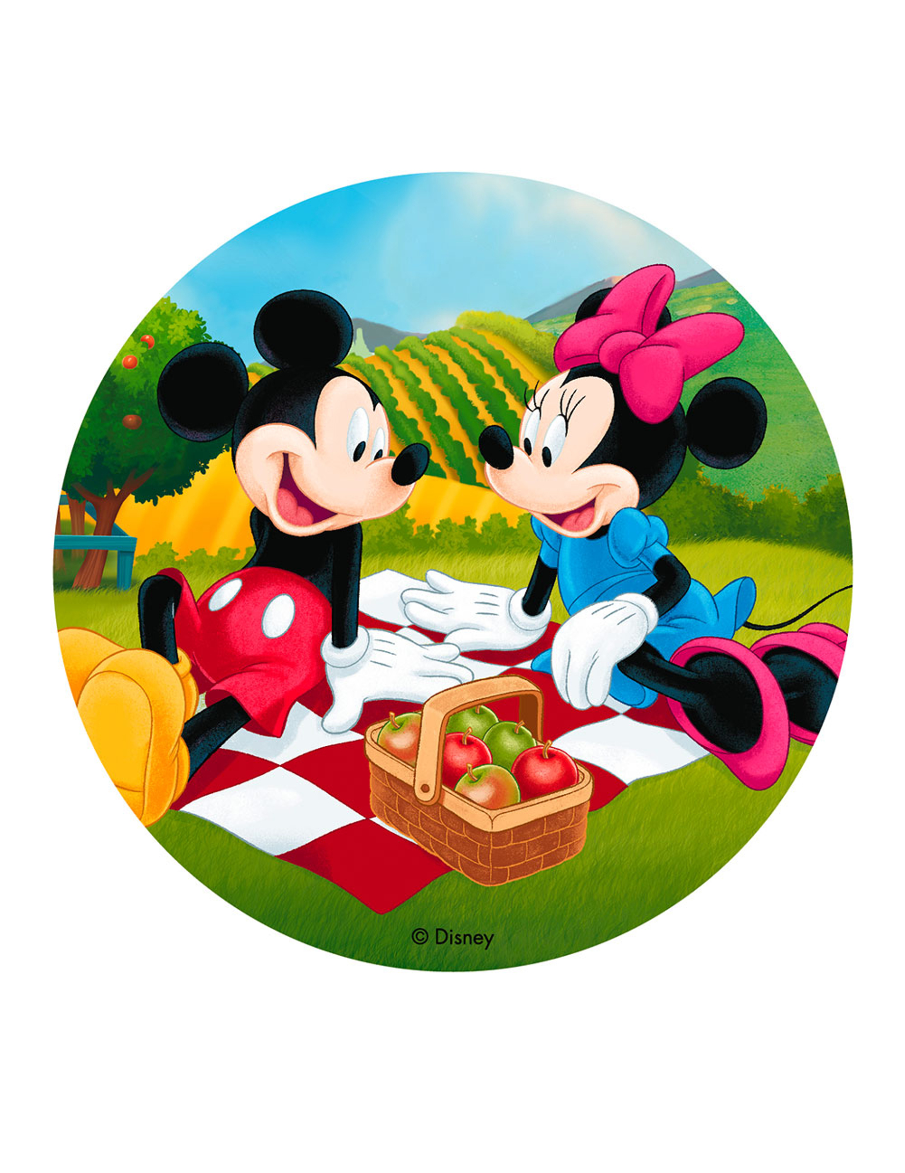 Disque en azyme Mickey et Minnie pique-nique 20 cm