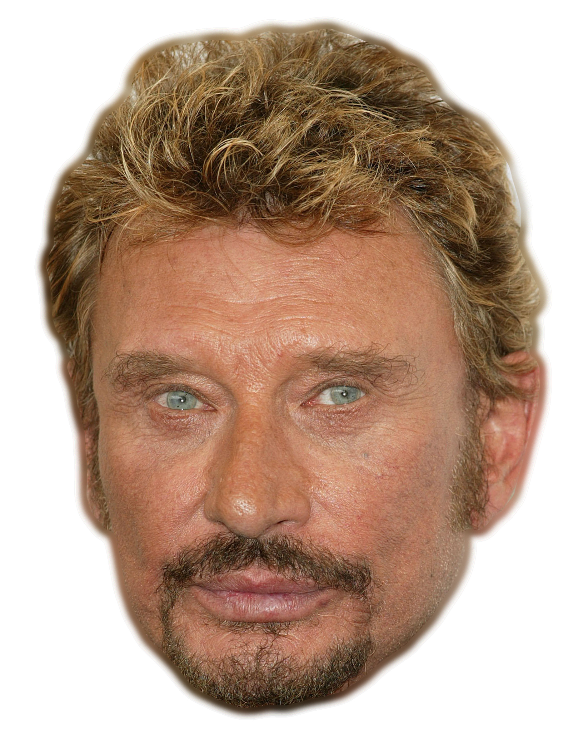 Masque en carton johnny Halliday