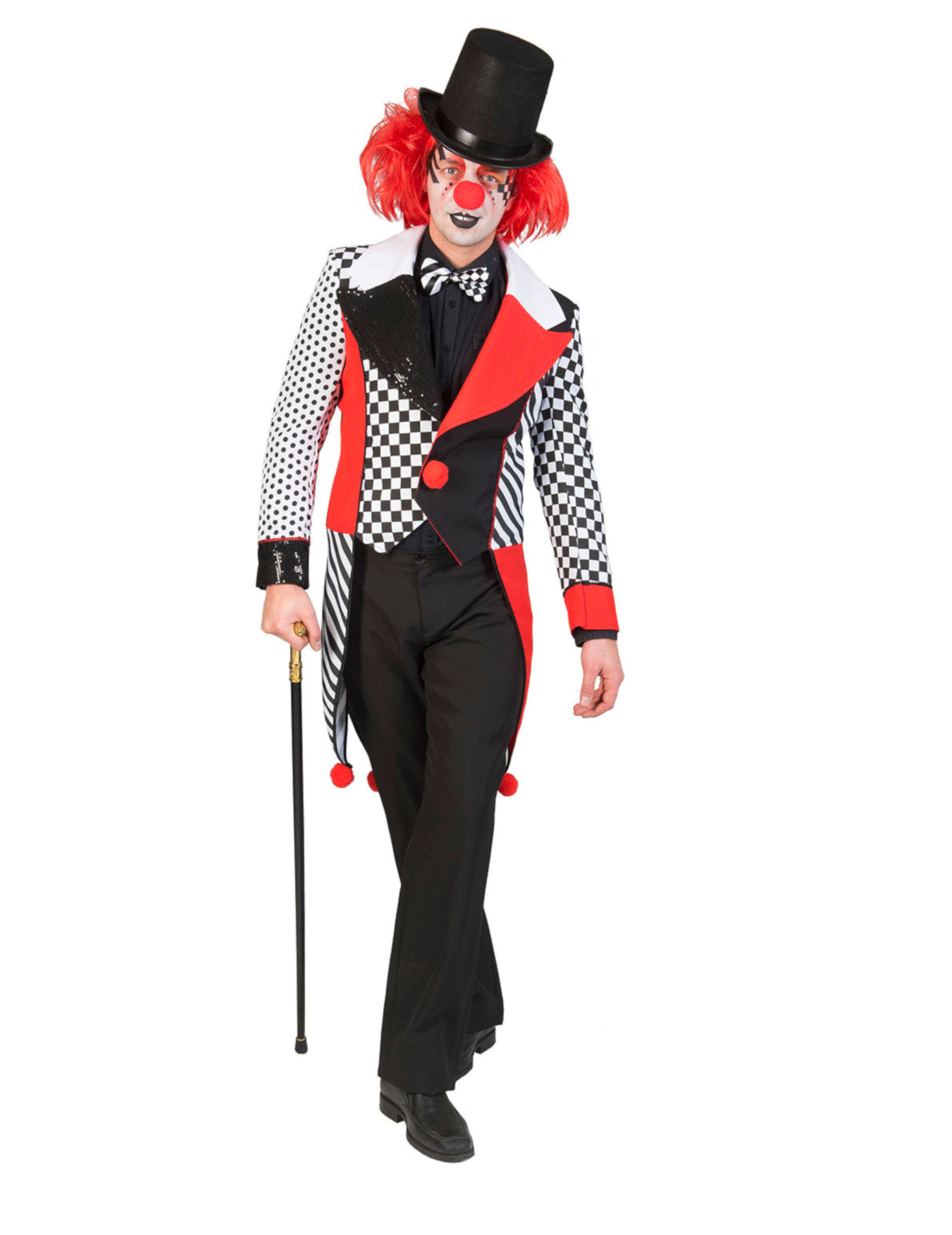 Queue-de-pie arlequin adulte