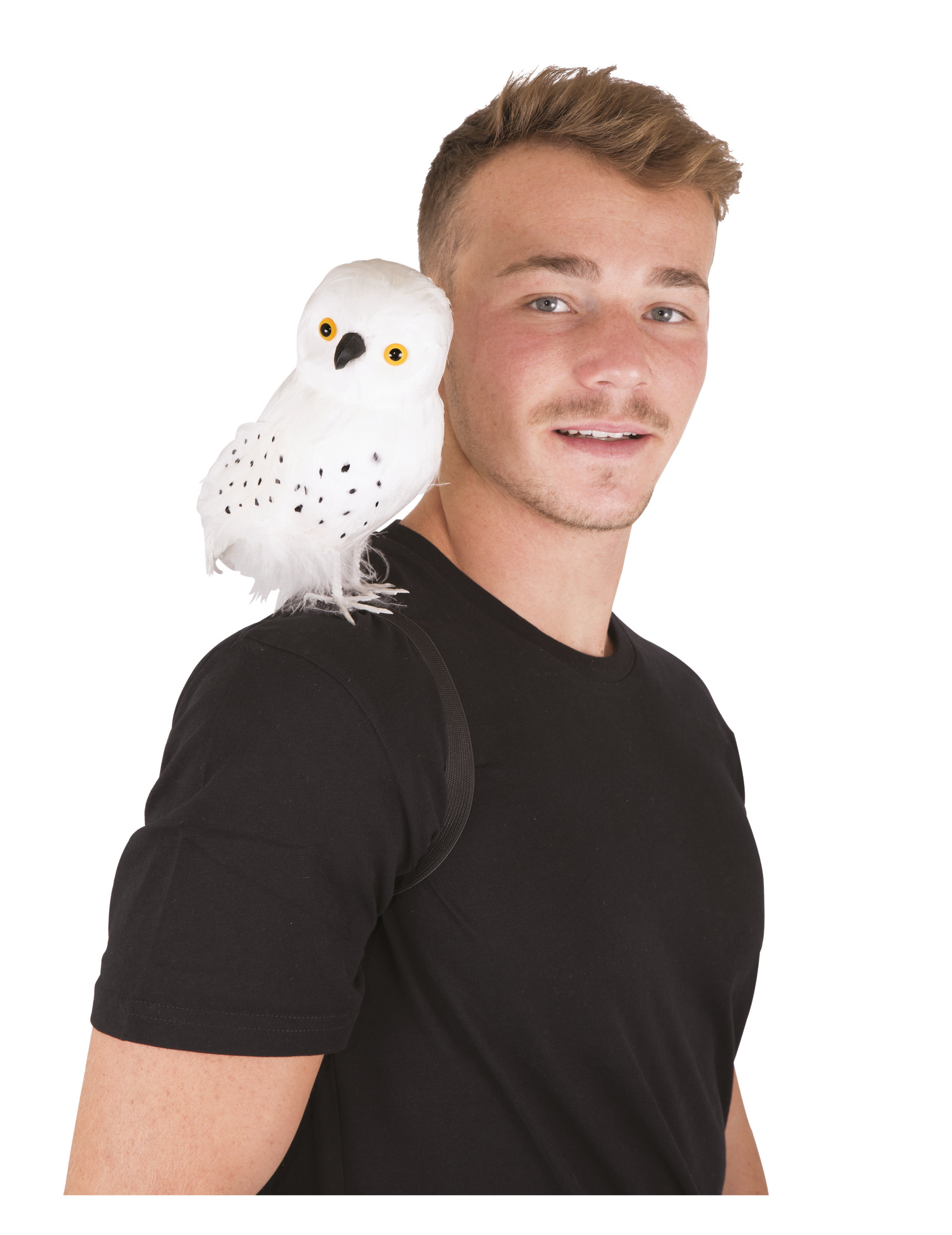 Chouette blanche de sorcier