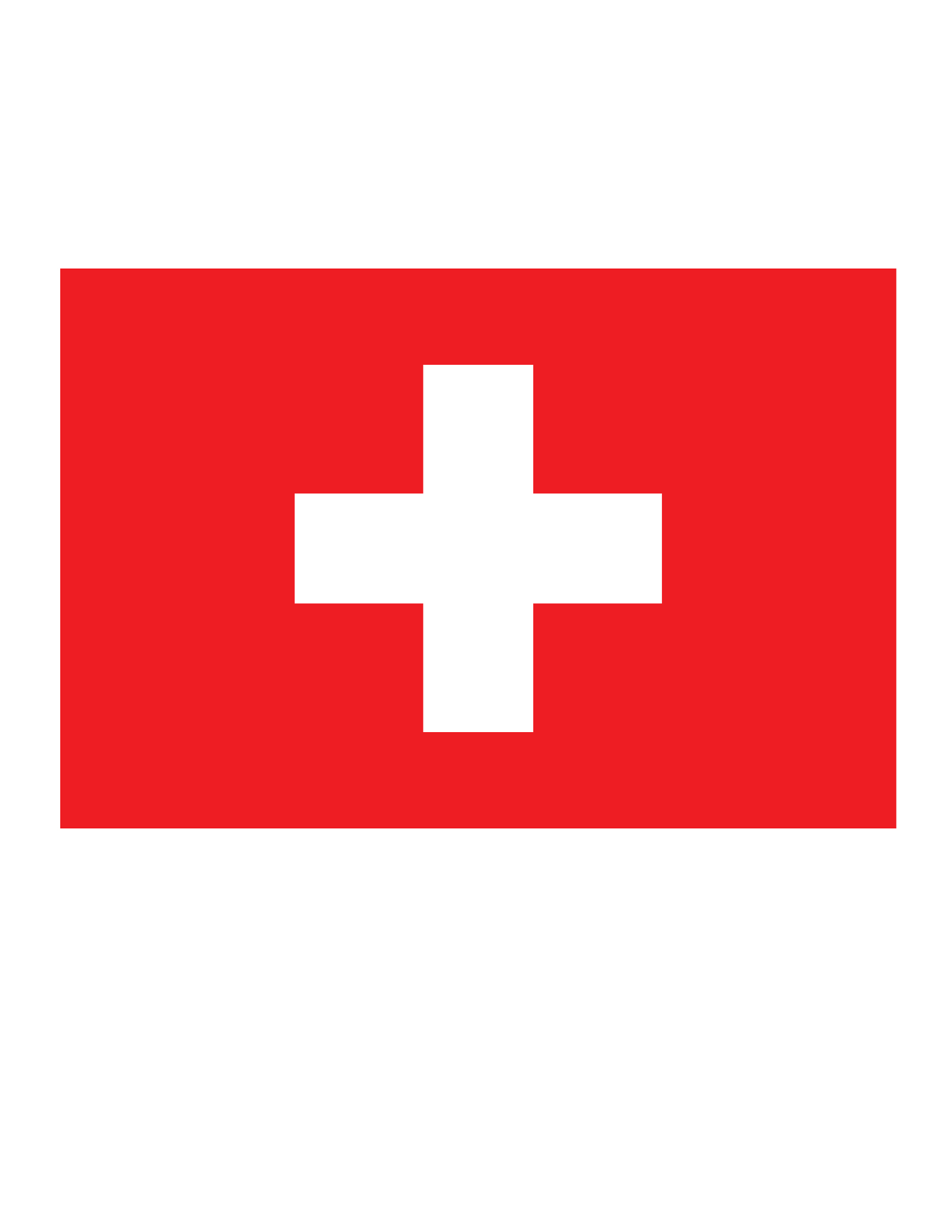 Drapeau supporter Suisse 150 x 90 cm