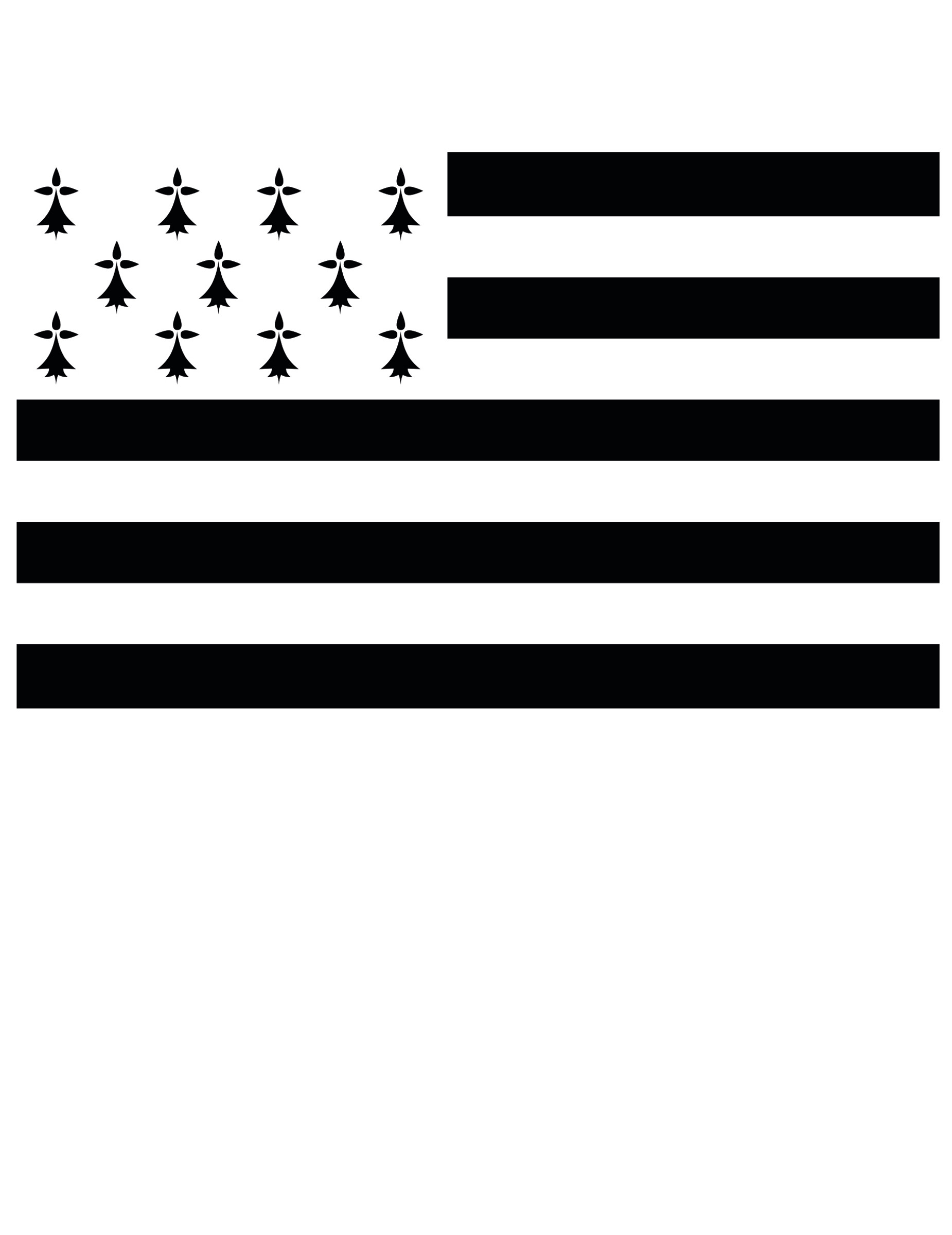 Drapeau supporter Bretagne 150 x 90 cm