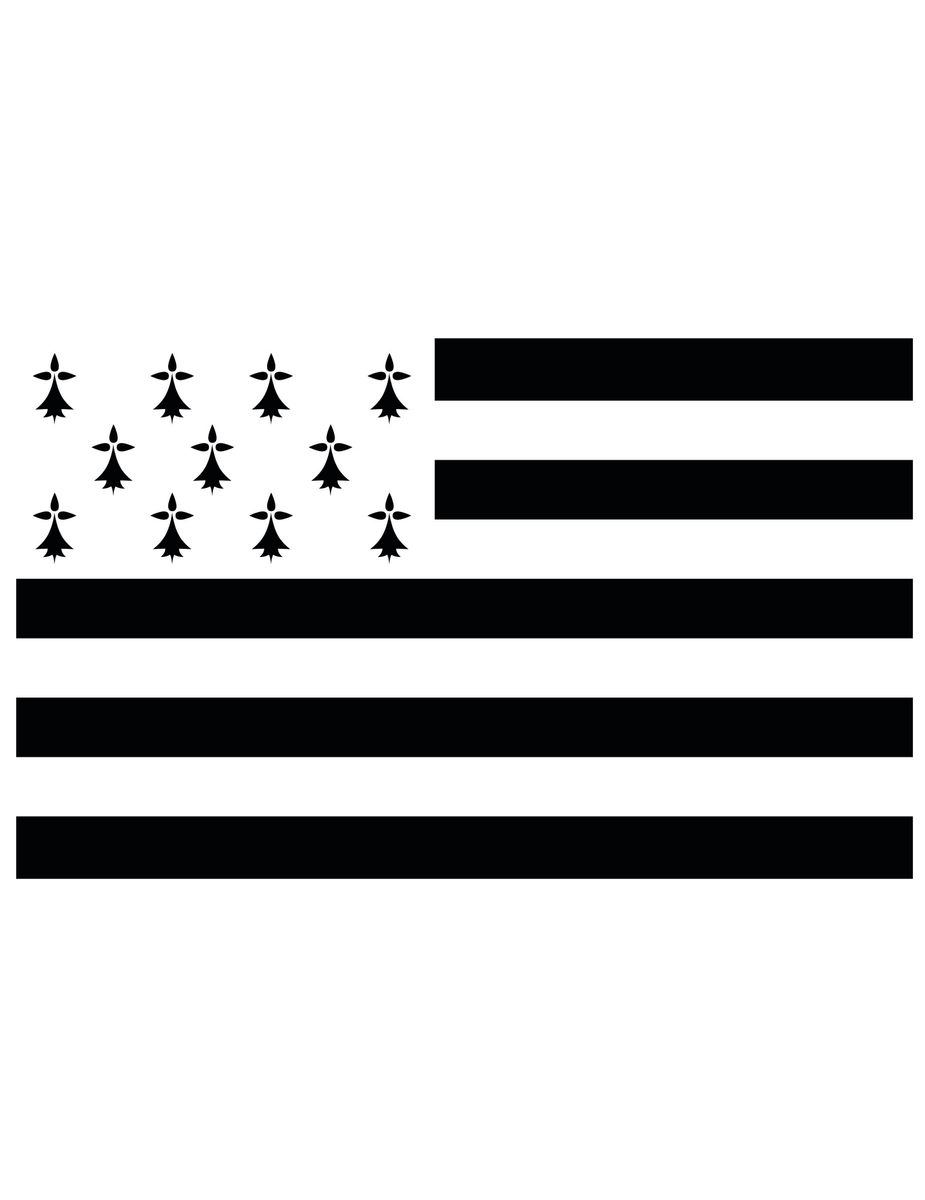 Drapeau supporter Bretagne 150 x 90 cm