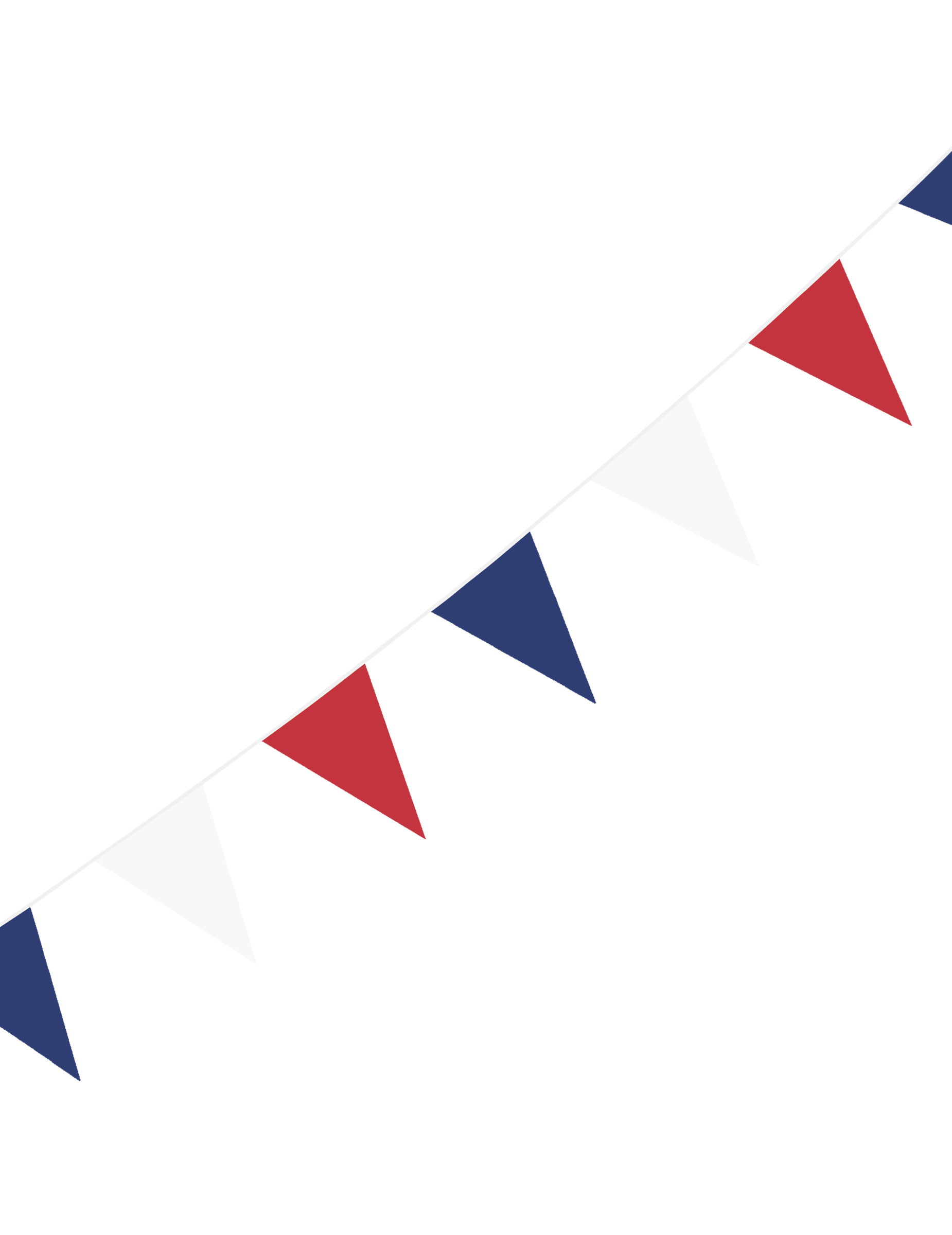 Guirlande à fanions drapeaux supporter France 3 m