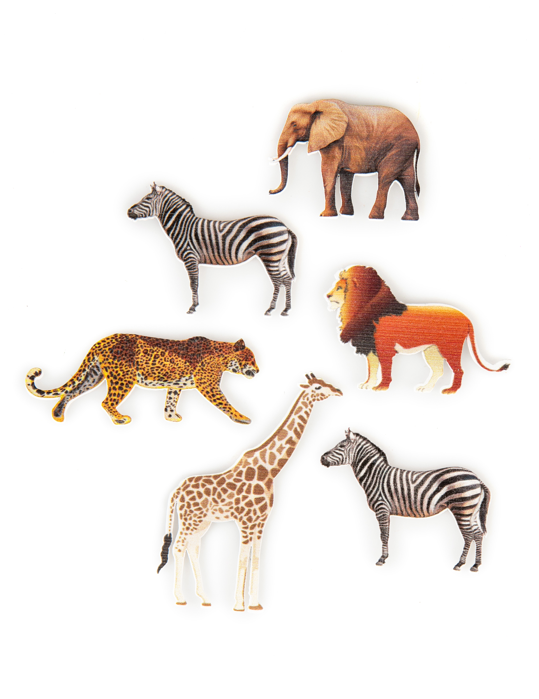 6 Confettis de table animaux de la savane 7,5 x 5,5 cm