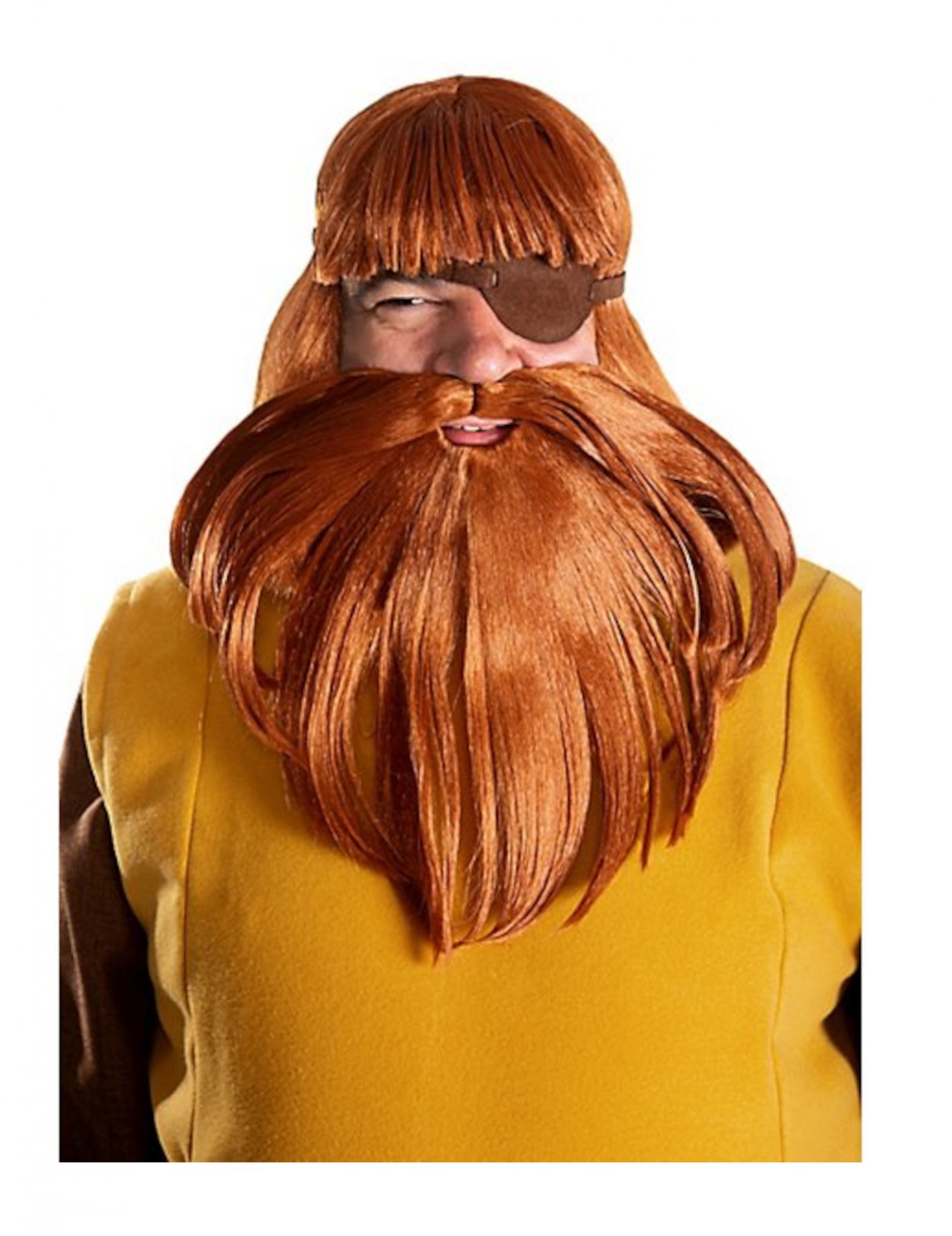 Perruque et barbe Halvar Vic le Viking homme