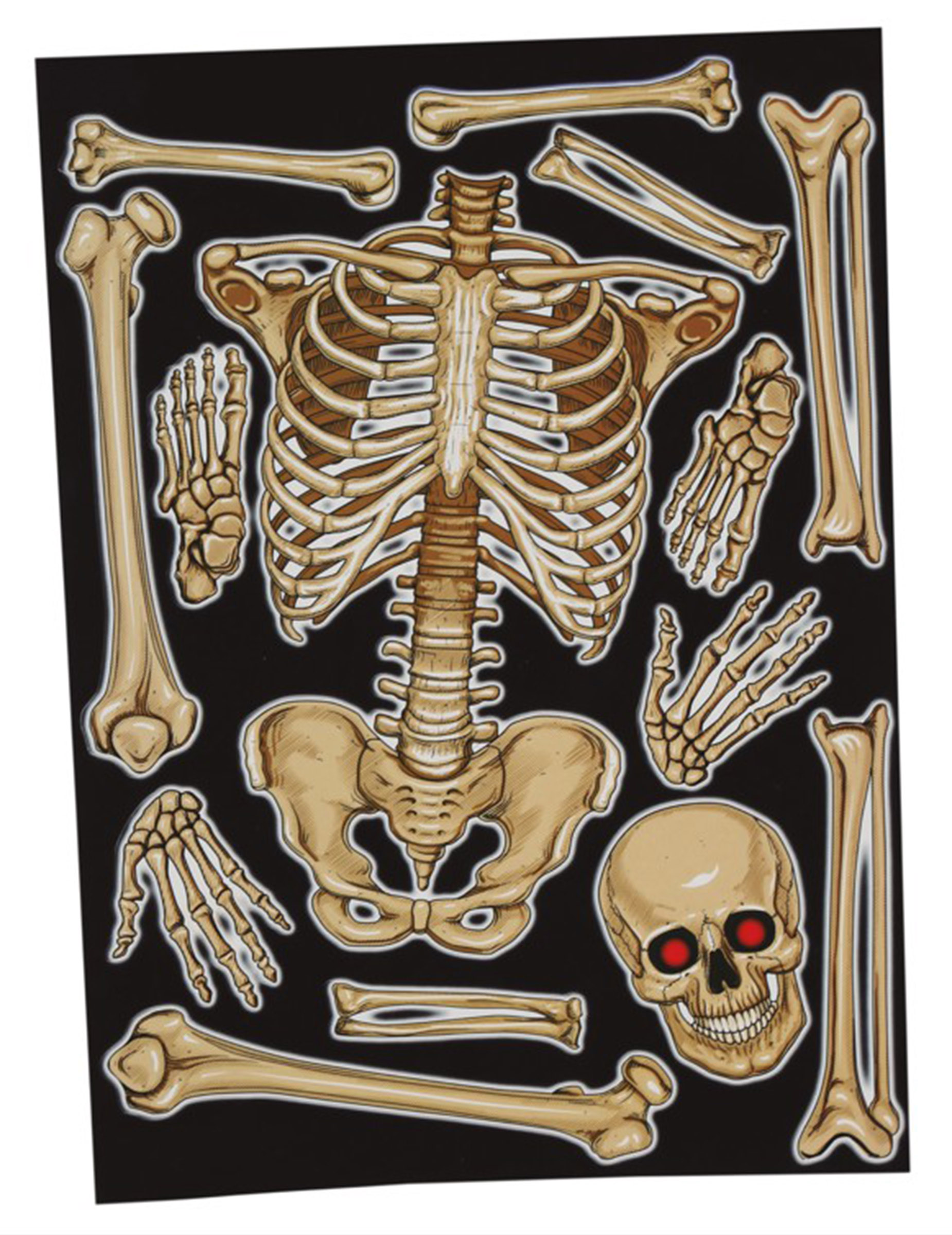 Stickers pour fenêtre squelette 30 x 40 cm