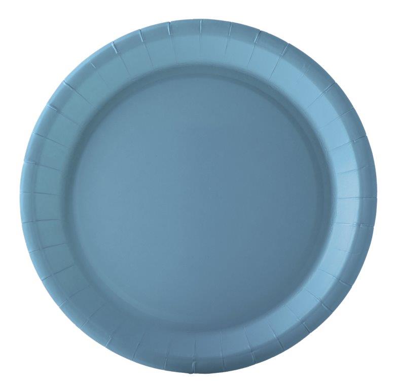 10 Assiettes en carton bleu pastel 22 cm