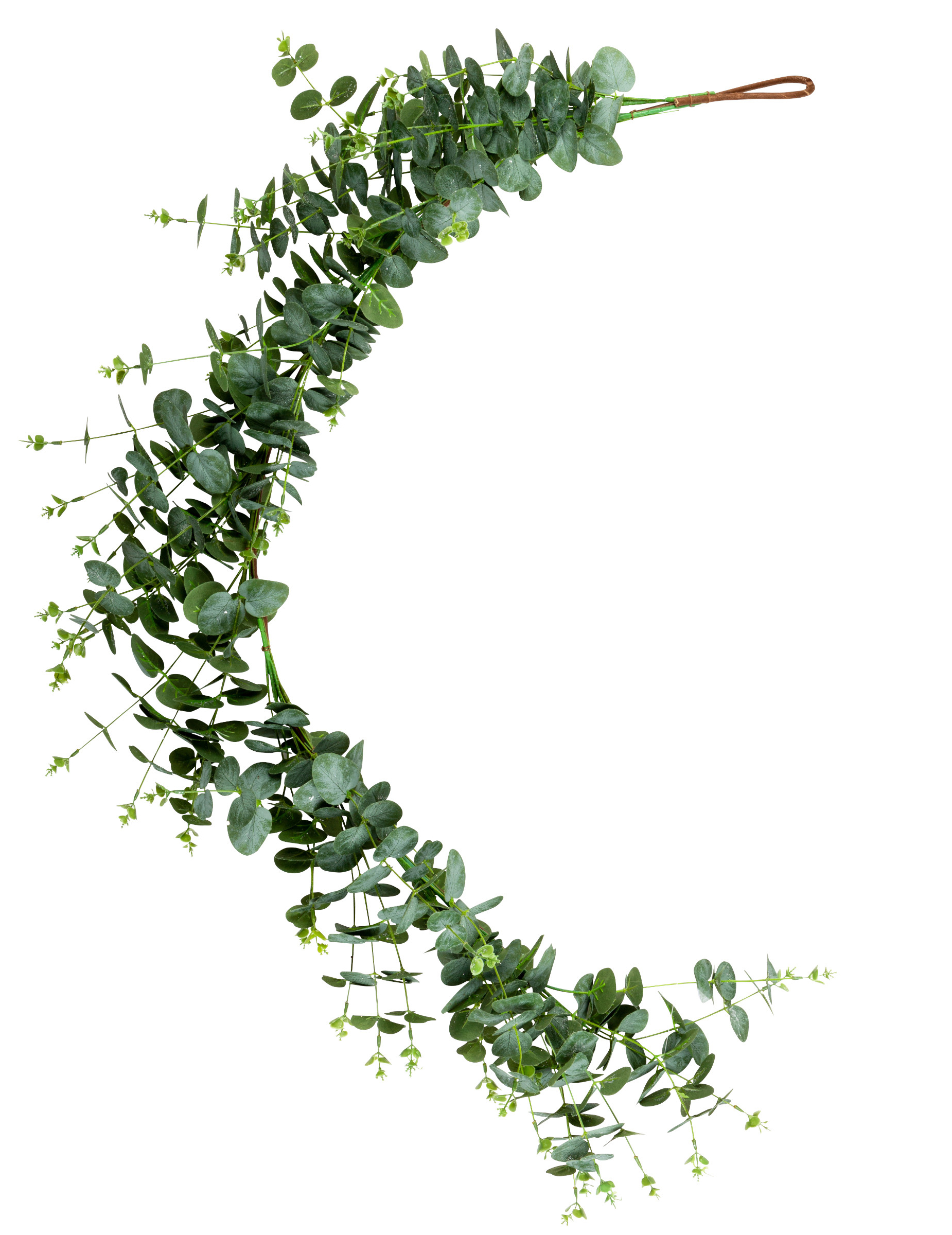 Descente d'eucalyptus 140 cm