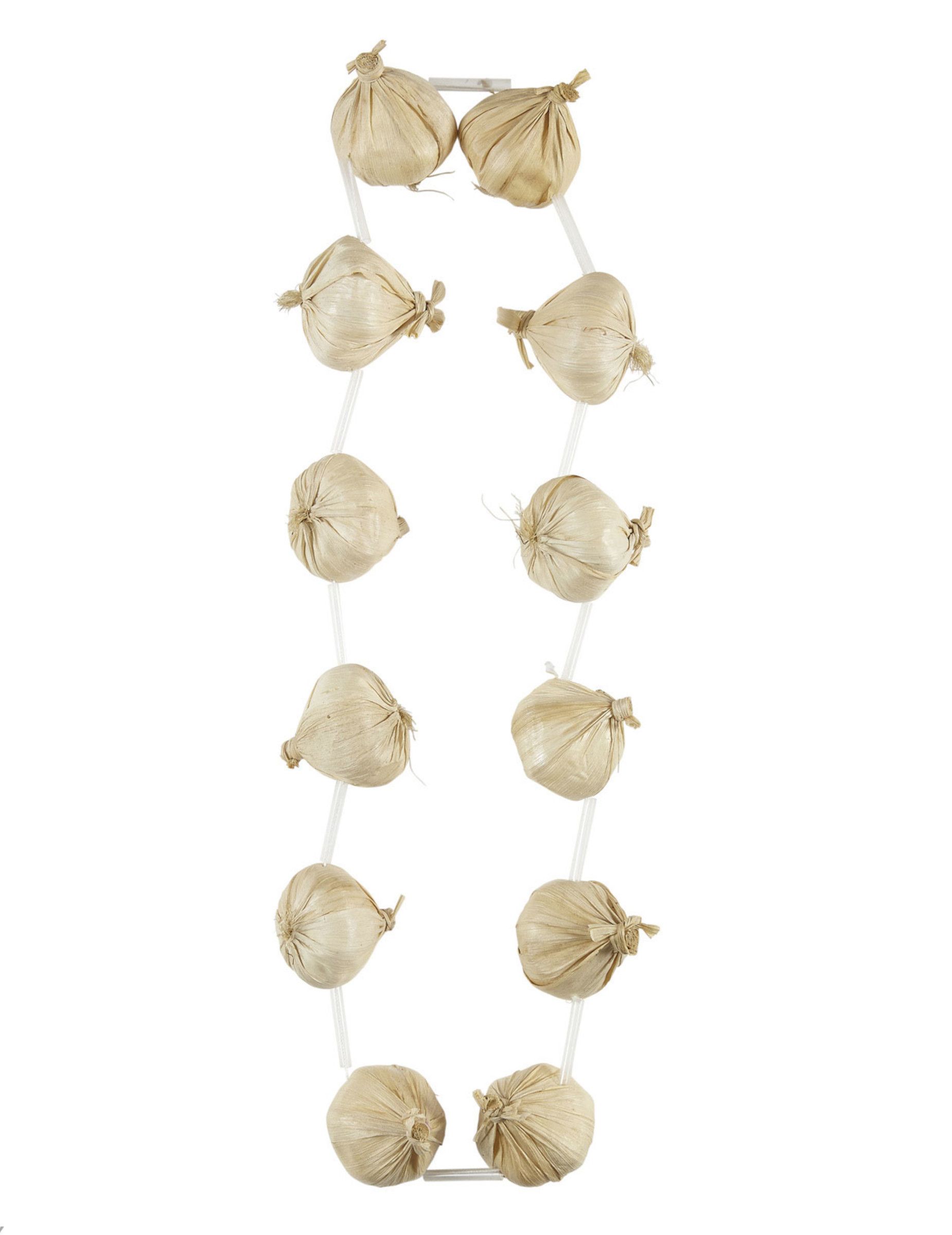 Collier d'ail adulte