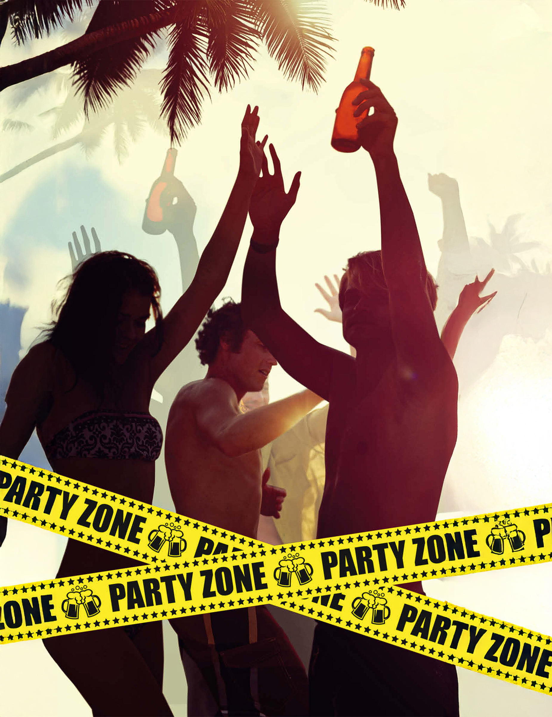 Ruban Party Zone 6m