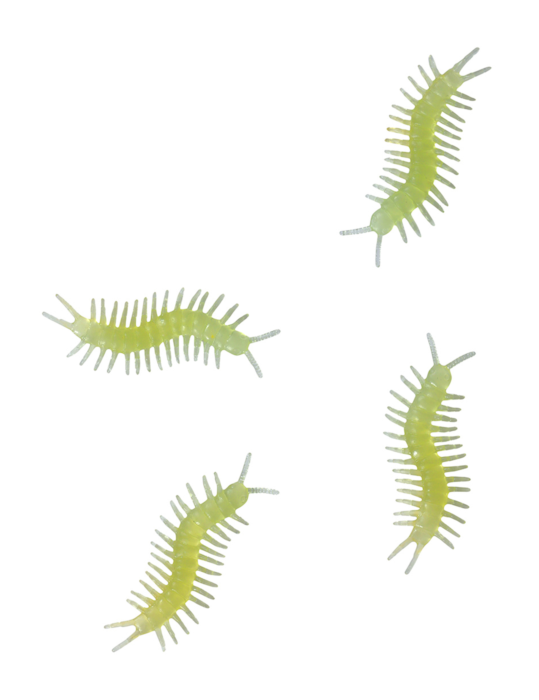 8 Mille pattes phosphorescents 6 cm