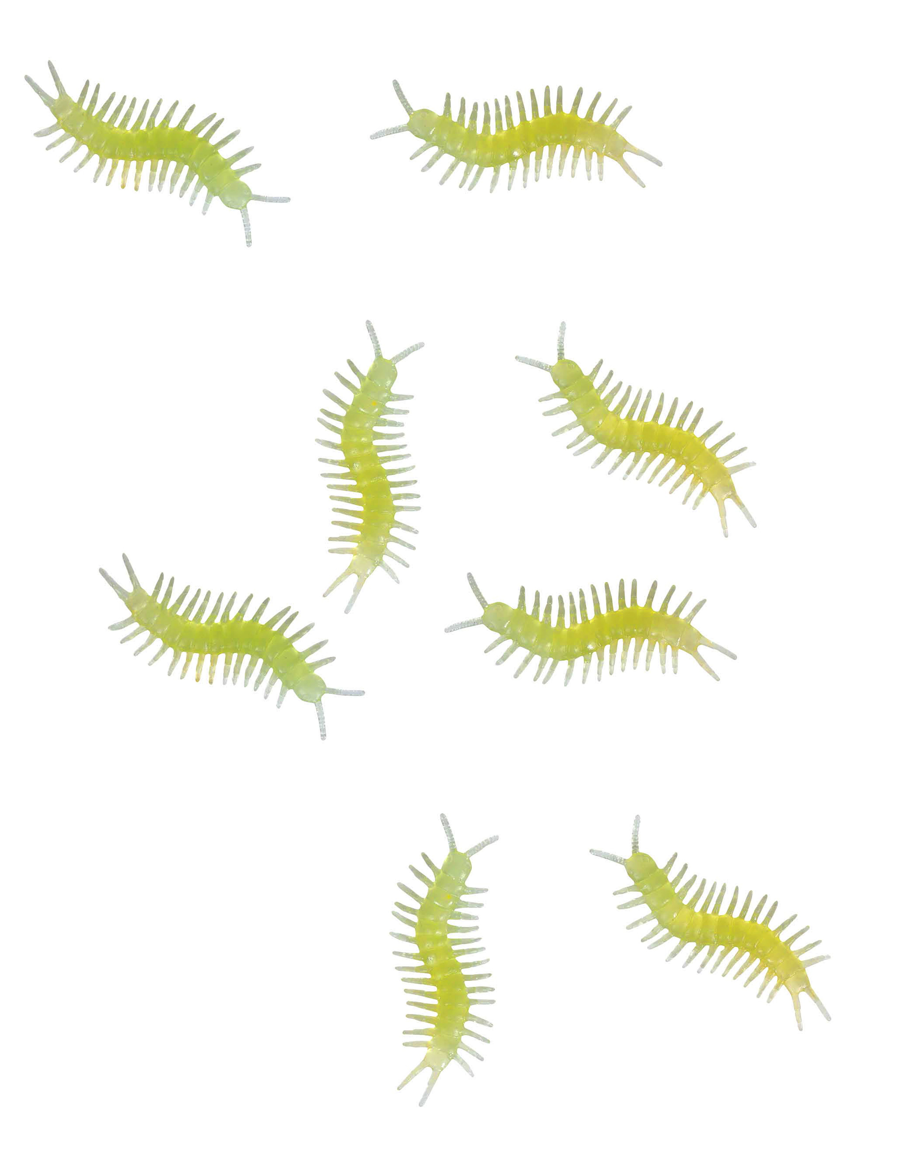 8 Mille pattes phosphorescents 6 cm