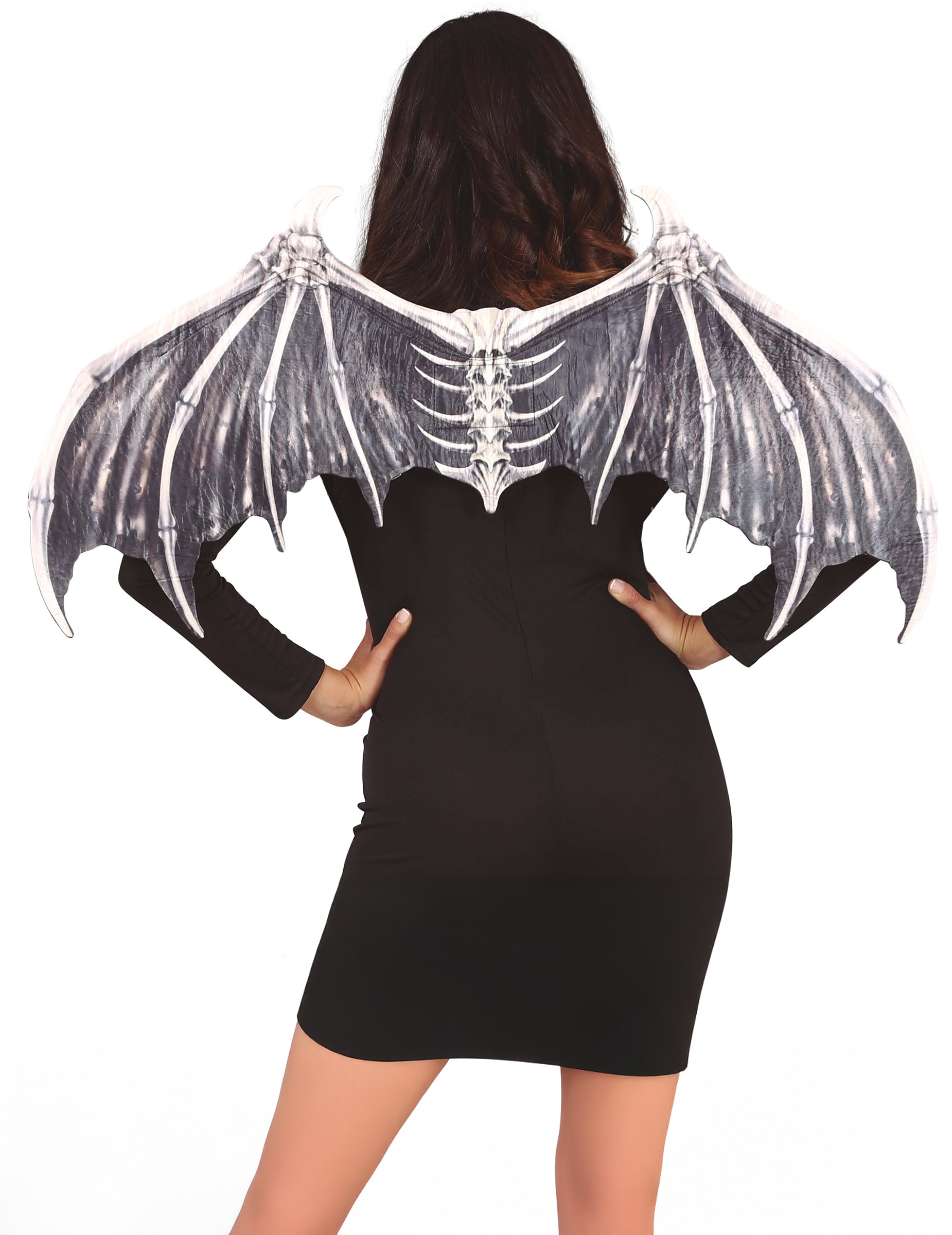 Ailes squelettes chauve-souris adulte
