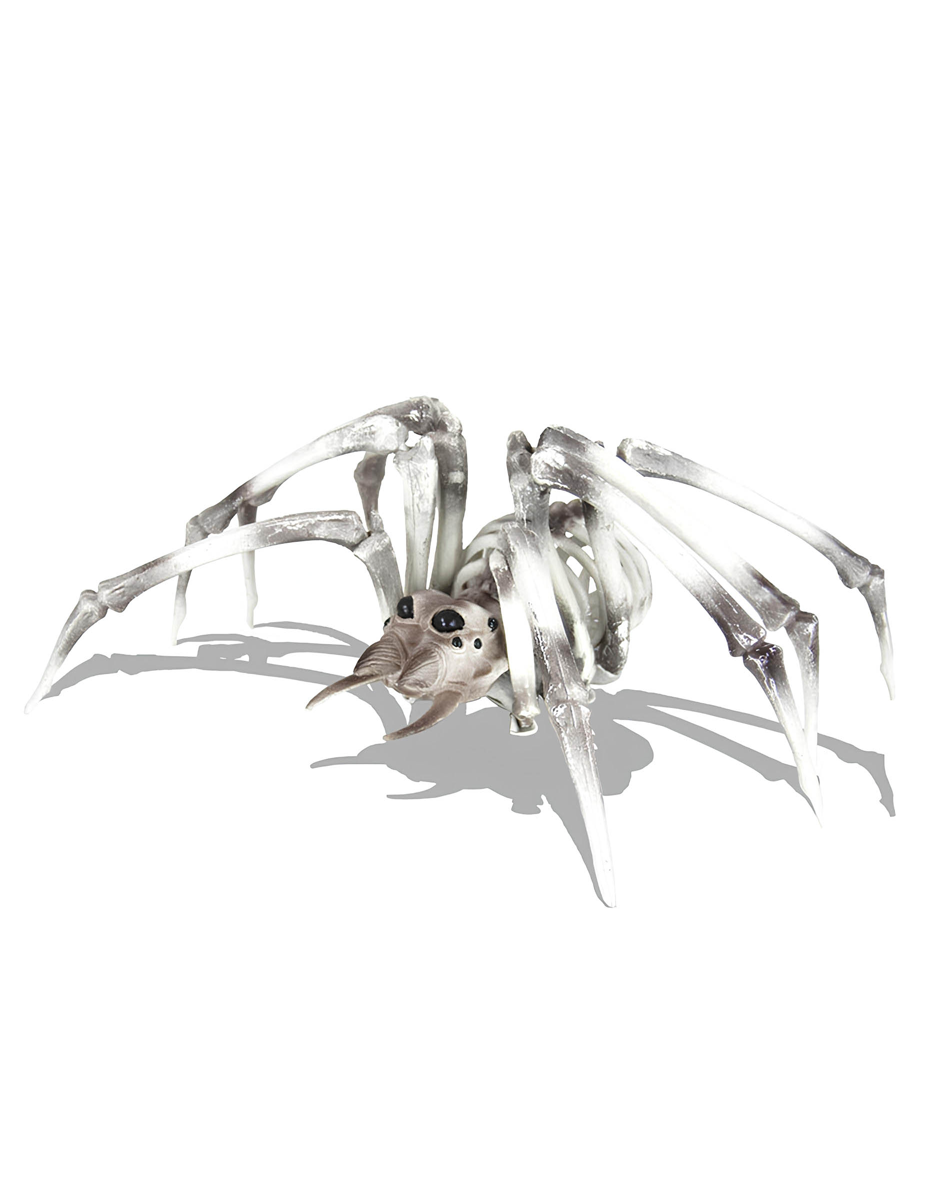 Squelette Araignée XXL 82 cm
