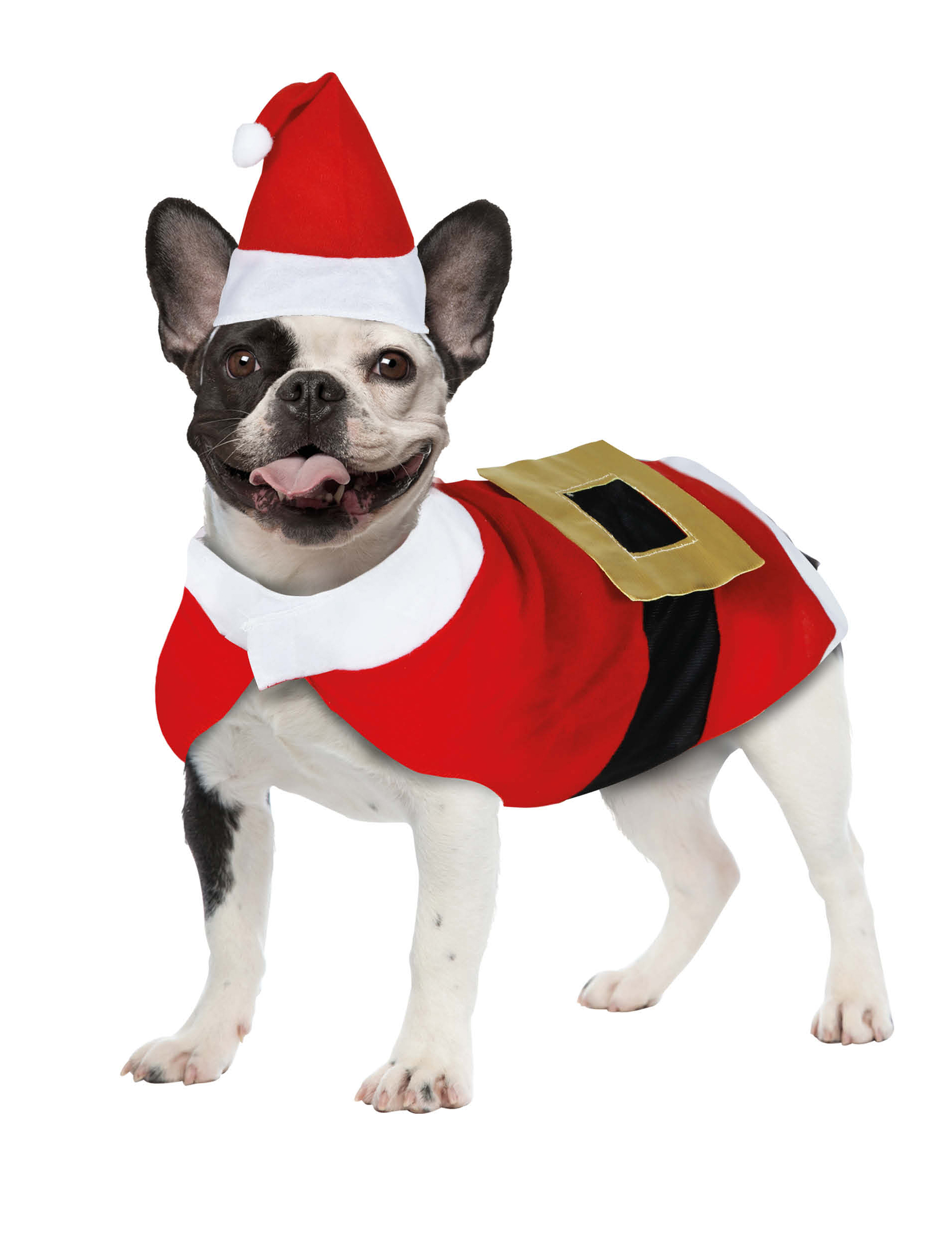 Déguisement Père Noël pour chien